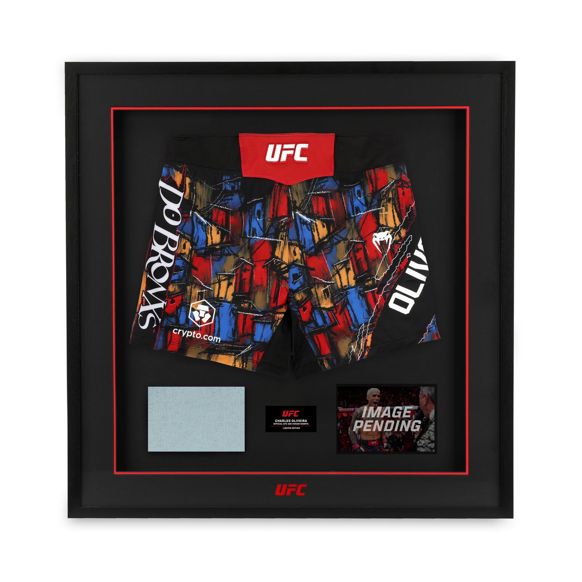 Charles Oliveira Limited Edition UFC 326 Venum Shorts & Canvas Display