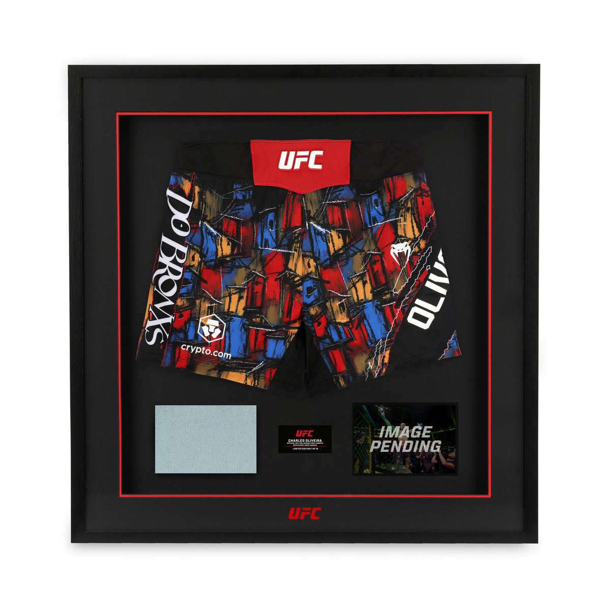 Charles Oliveira Limited Edition UFC 335 Venum Shorts & Canvas Display