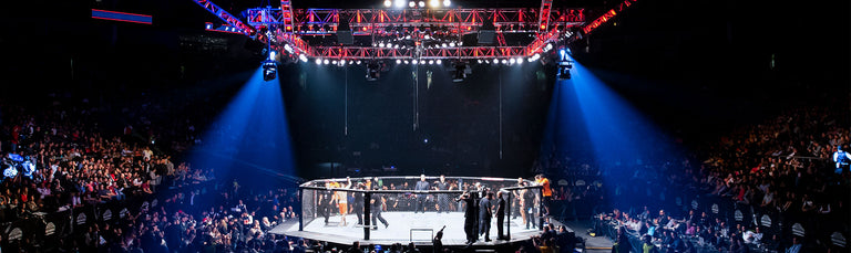Professional wrestling ring with audience and bright lights