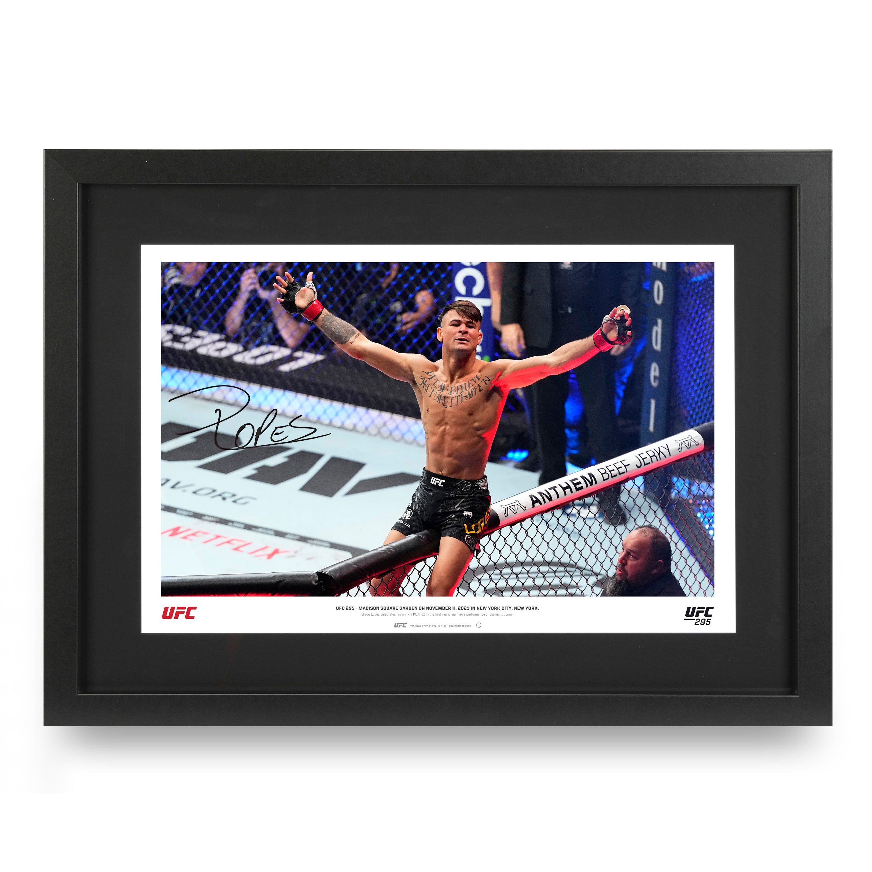 Framed & Signed UFC Fight Pictures | UFC Collectibles