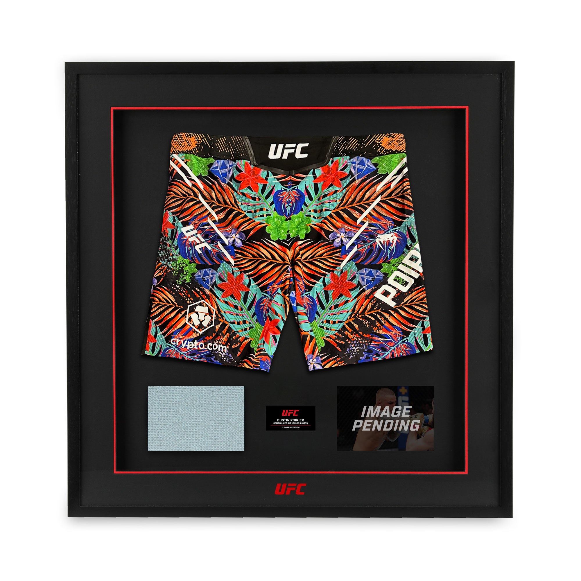 Dustin Poirier UFC 318 Canvas & Limited Edition Venum Shorts Display