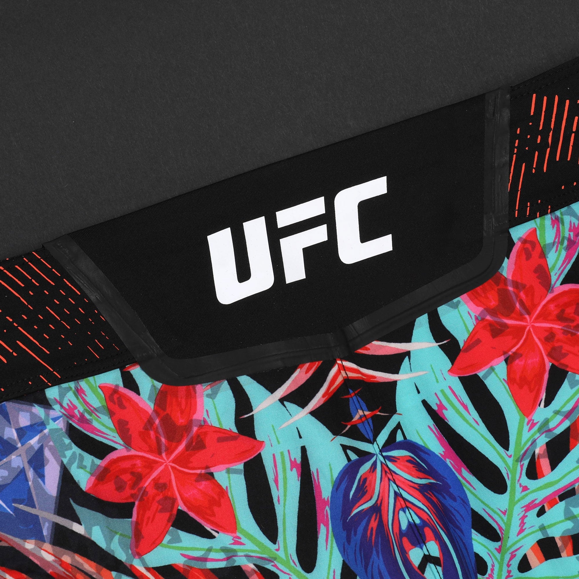 Dustin Poirier UFC 318 Canvas & Limited Edition Venum Shorts Display