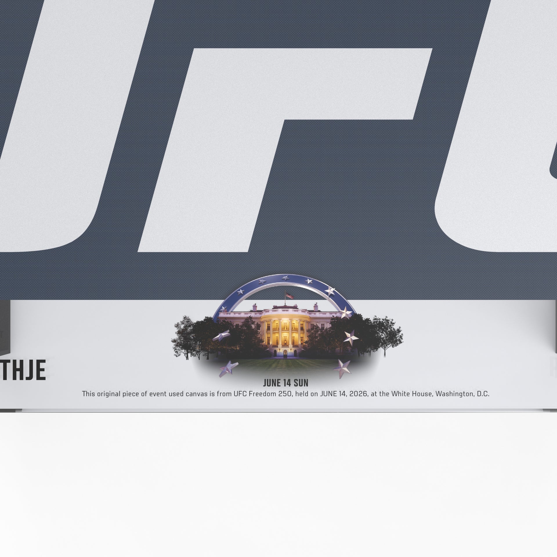 UFC Freedom 250: Topuria vs Gaethje Logo Canvas Coffee Table