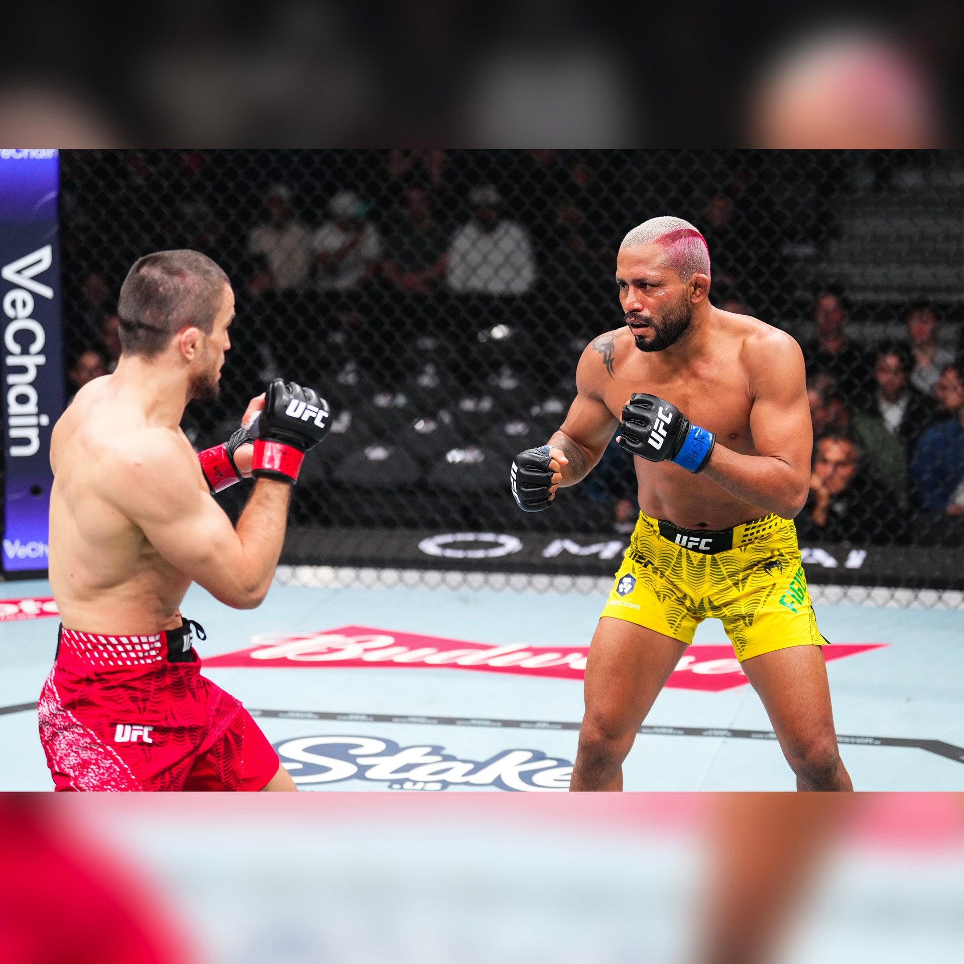 Deiveson Figueiredo Signed 1-of-1 Fight Worn Gloves UFC 324: Gaethje vs Pimblett