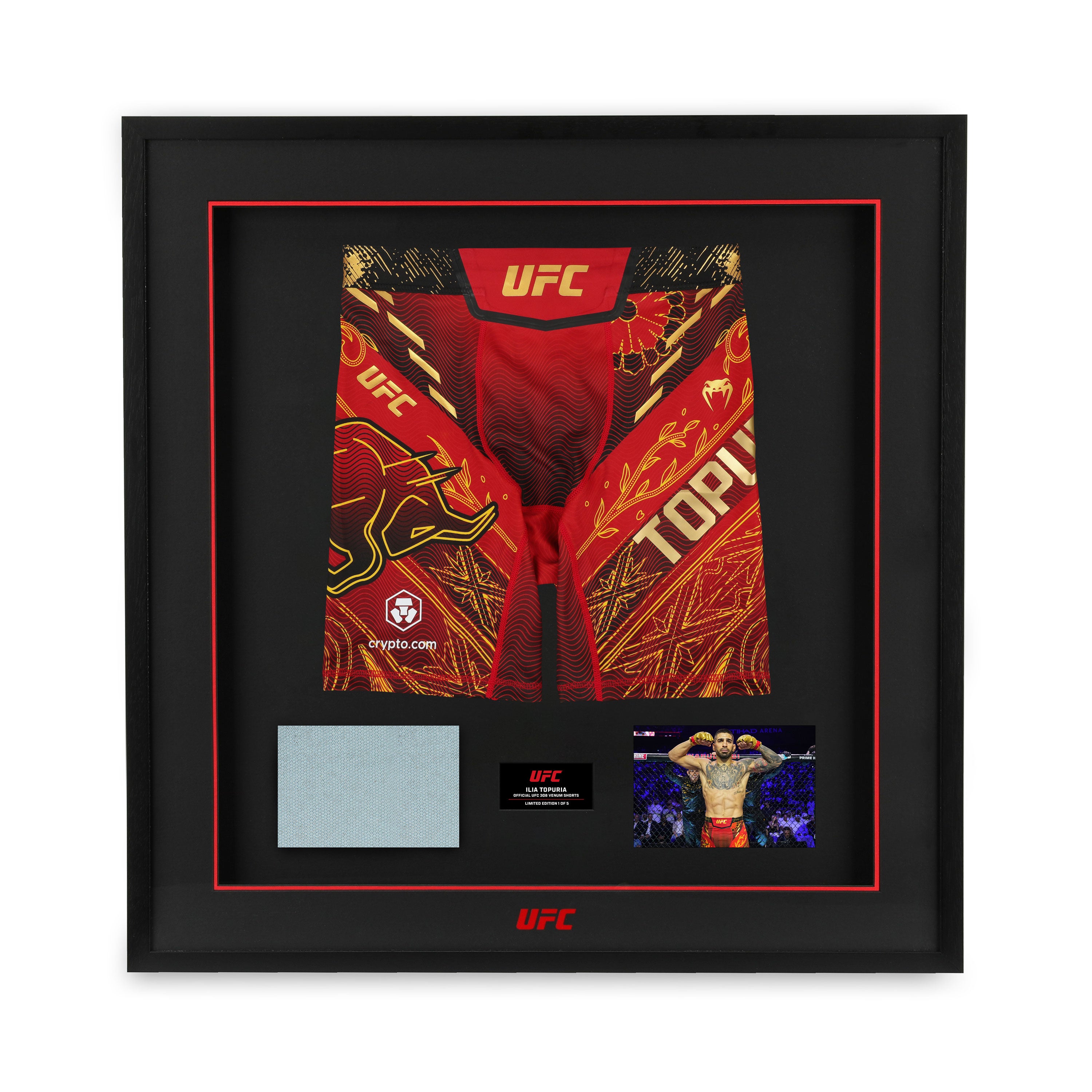 Ilia Topuria Limited Edition UFC 308 Venum Shorts & Canvas Display