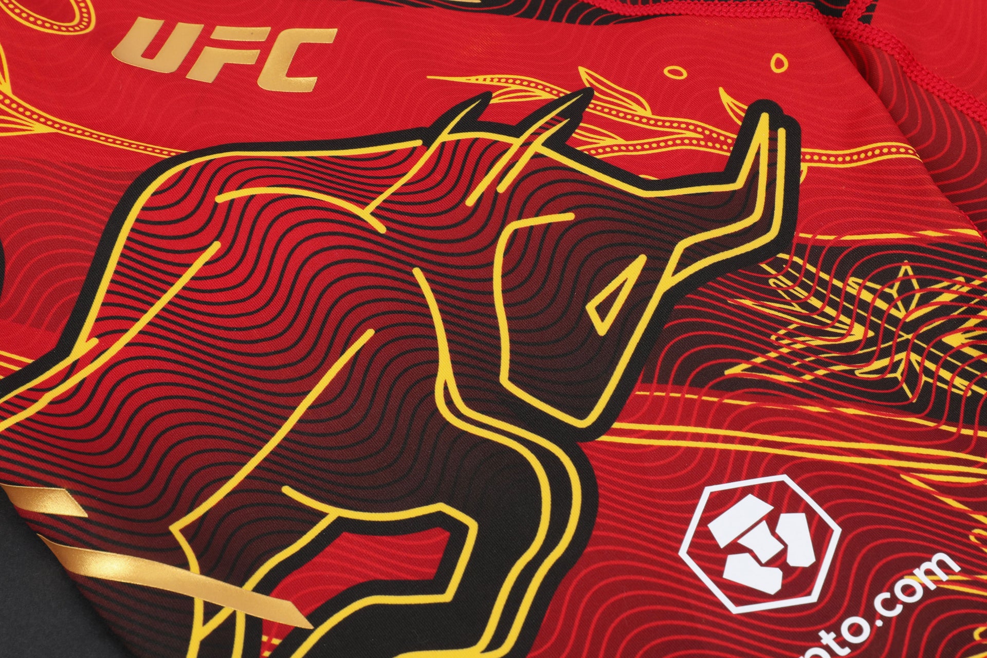 Ilia Topuria Limited Edition UFC 317 Venum Shorts & Canvas Display