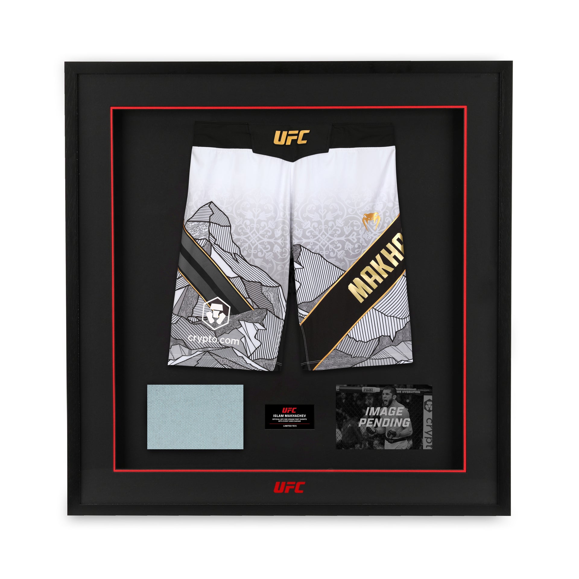 Islam Makhachev Limited Edition UFC 330 Venum Shorts & Canvas Display