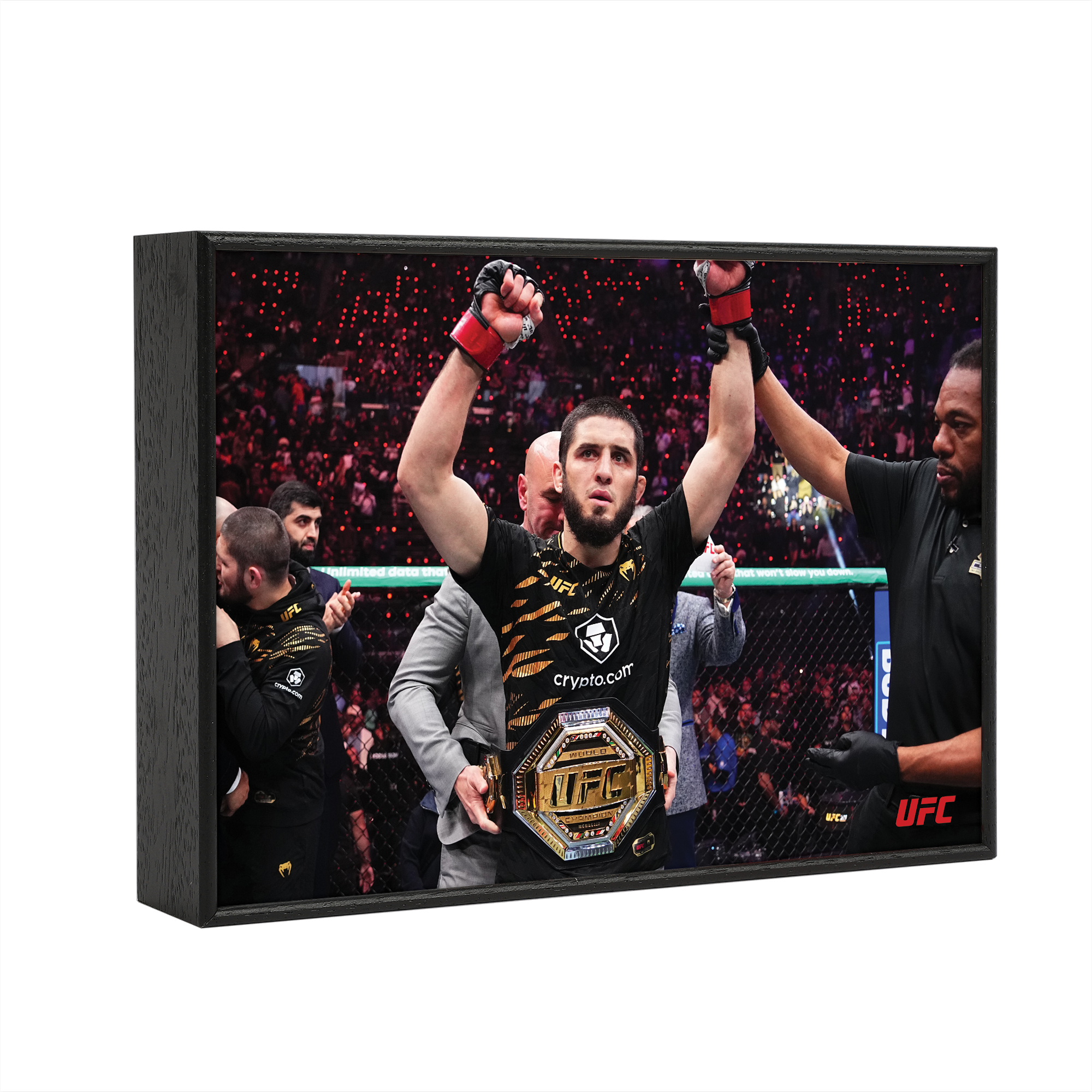UFC 311: Makhachev vs Moicano - Islam Makhachev Framed Print