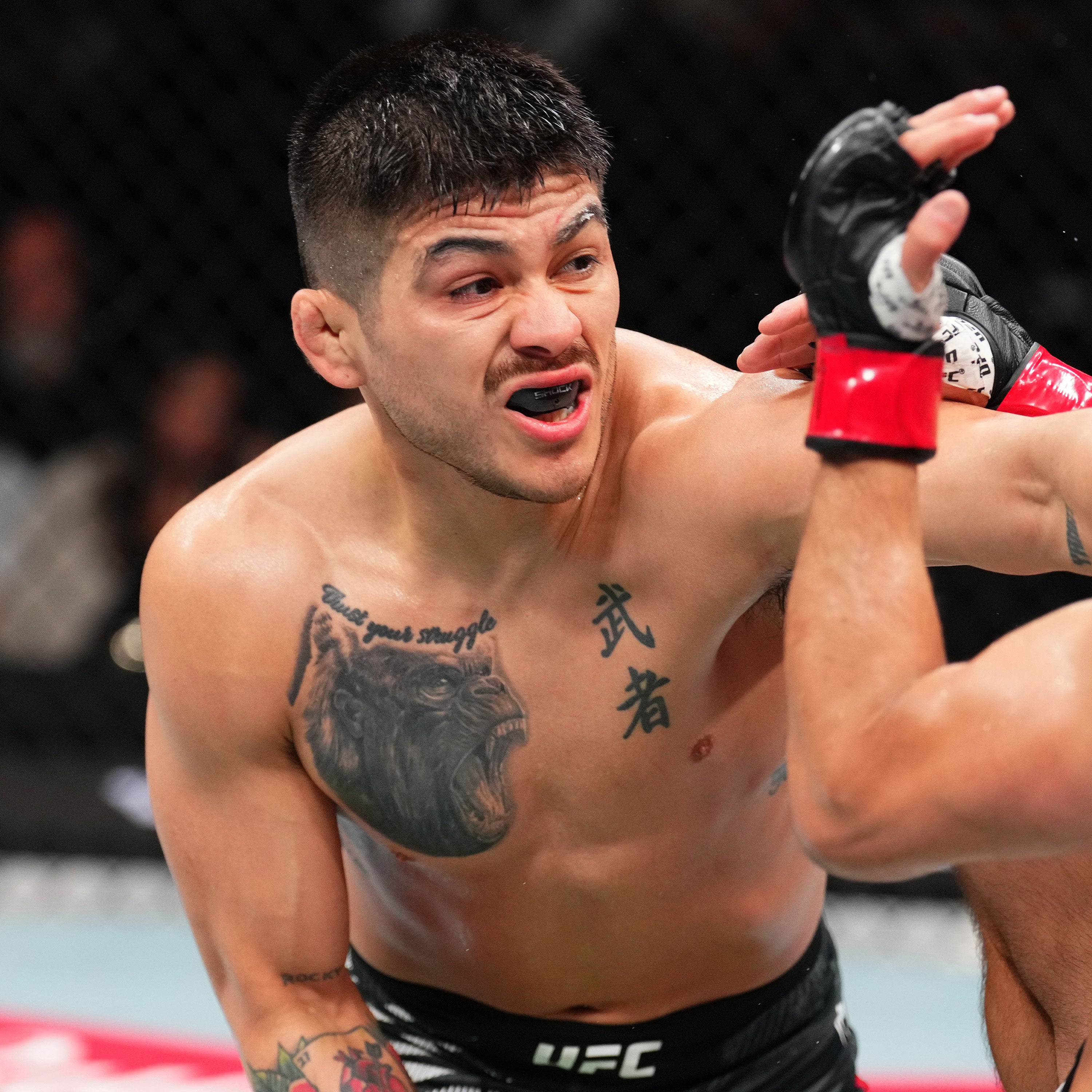 John Castañeda 1-of-1 Fight Worn Shorts UFC Fight Night: Machado Garry vs Prates