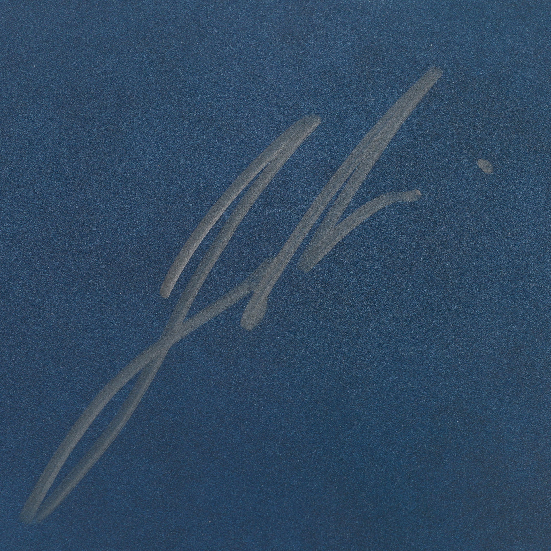 Joshua Van Autographed UFC Freedom 250 Fan Fest Name Sign