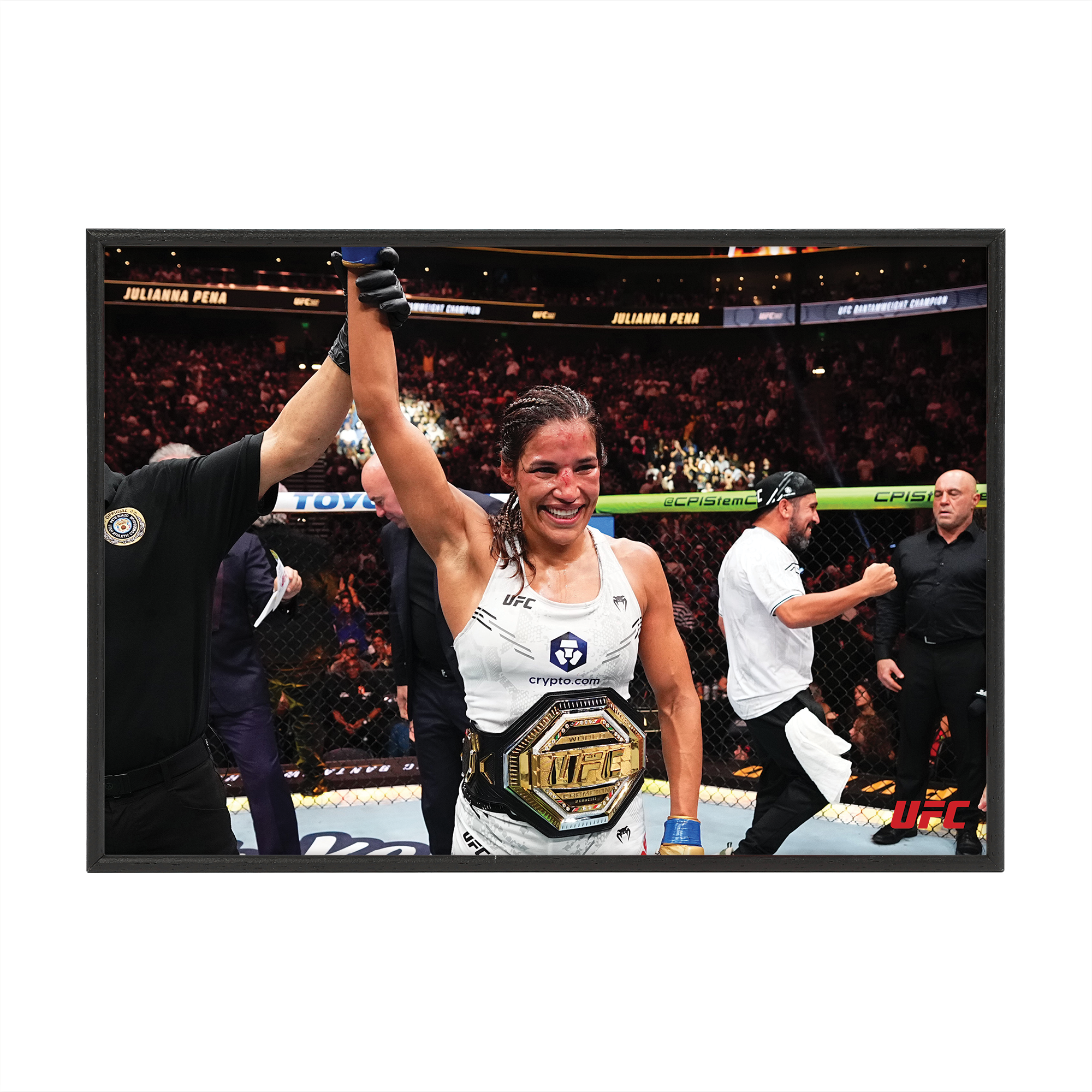 UFC 307: Pereira vs Rountree Jr. - Julianna Peña Framed Print