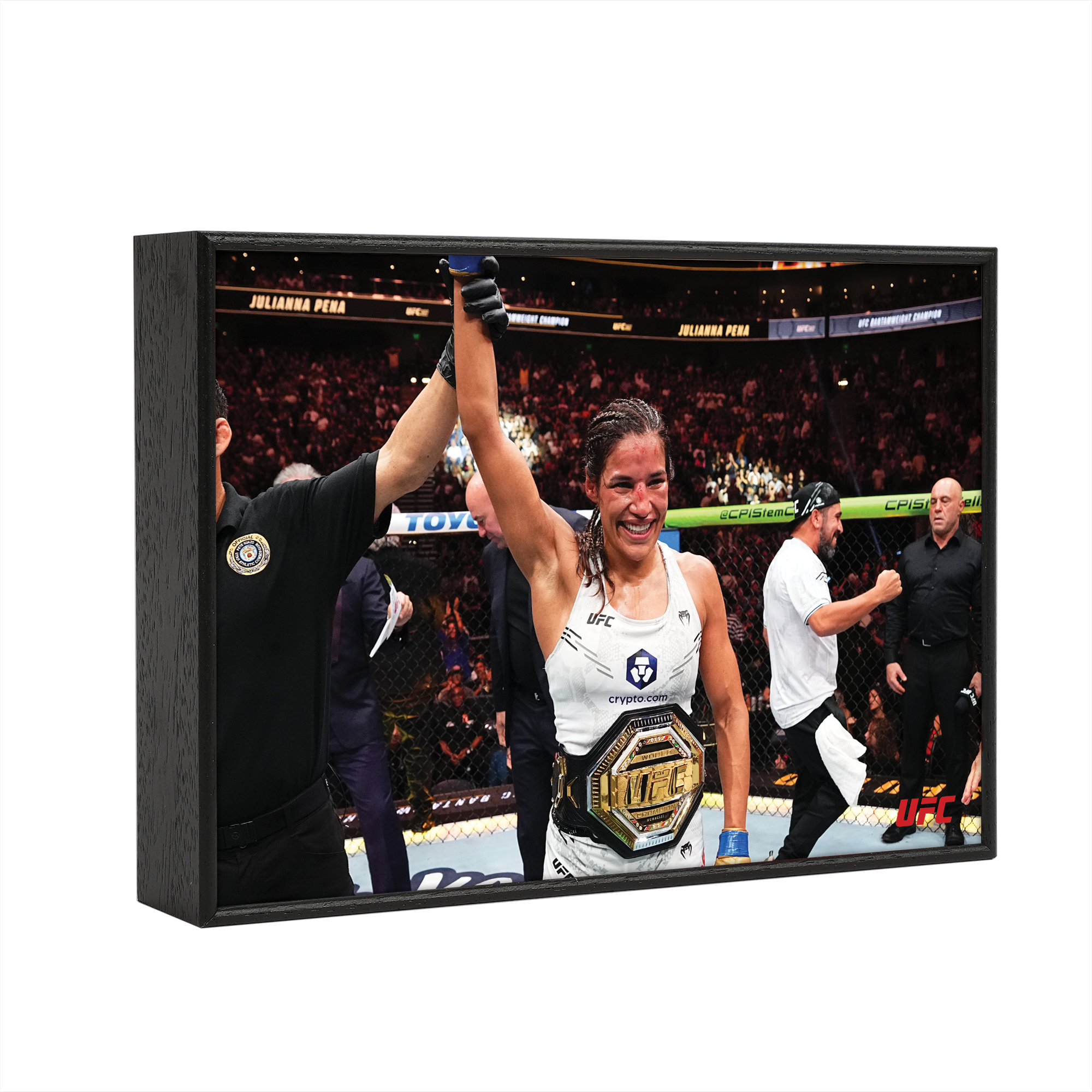 UFC 307: Pereira vs Rountree Jr. - Julianna Peña Framed Print