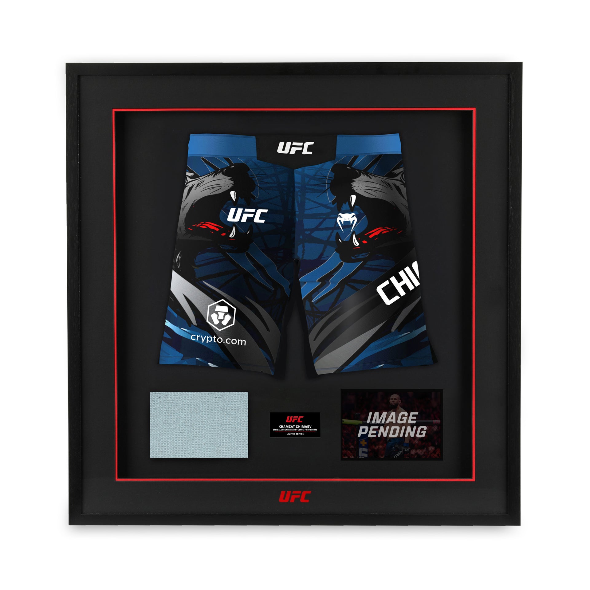 Khamzat Chimaev Limited Edition UFC 328 Venum Shorts & Canvas Display