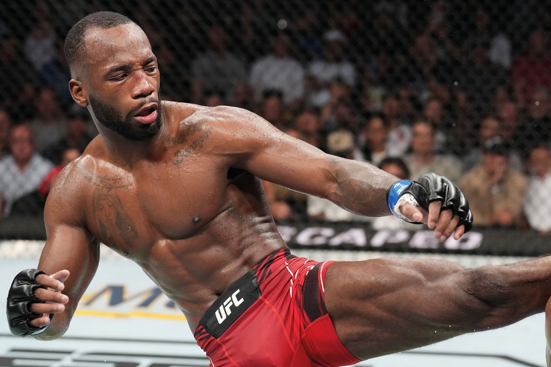 Leon Edwards Signed Photo UFC 278