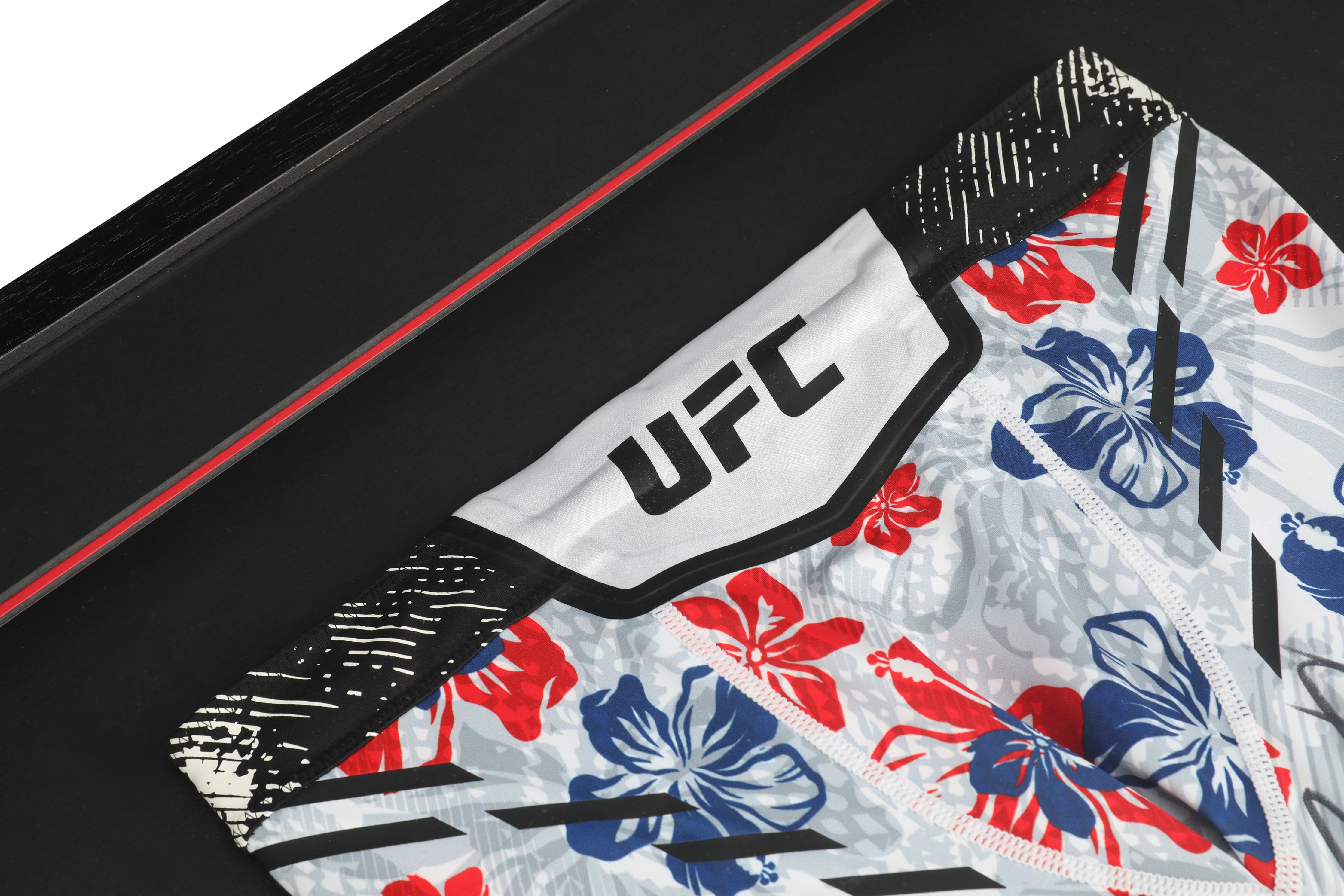 Max Holloway UFC 318 Canvas & Limited Edition Venum Shorts Display
