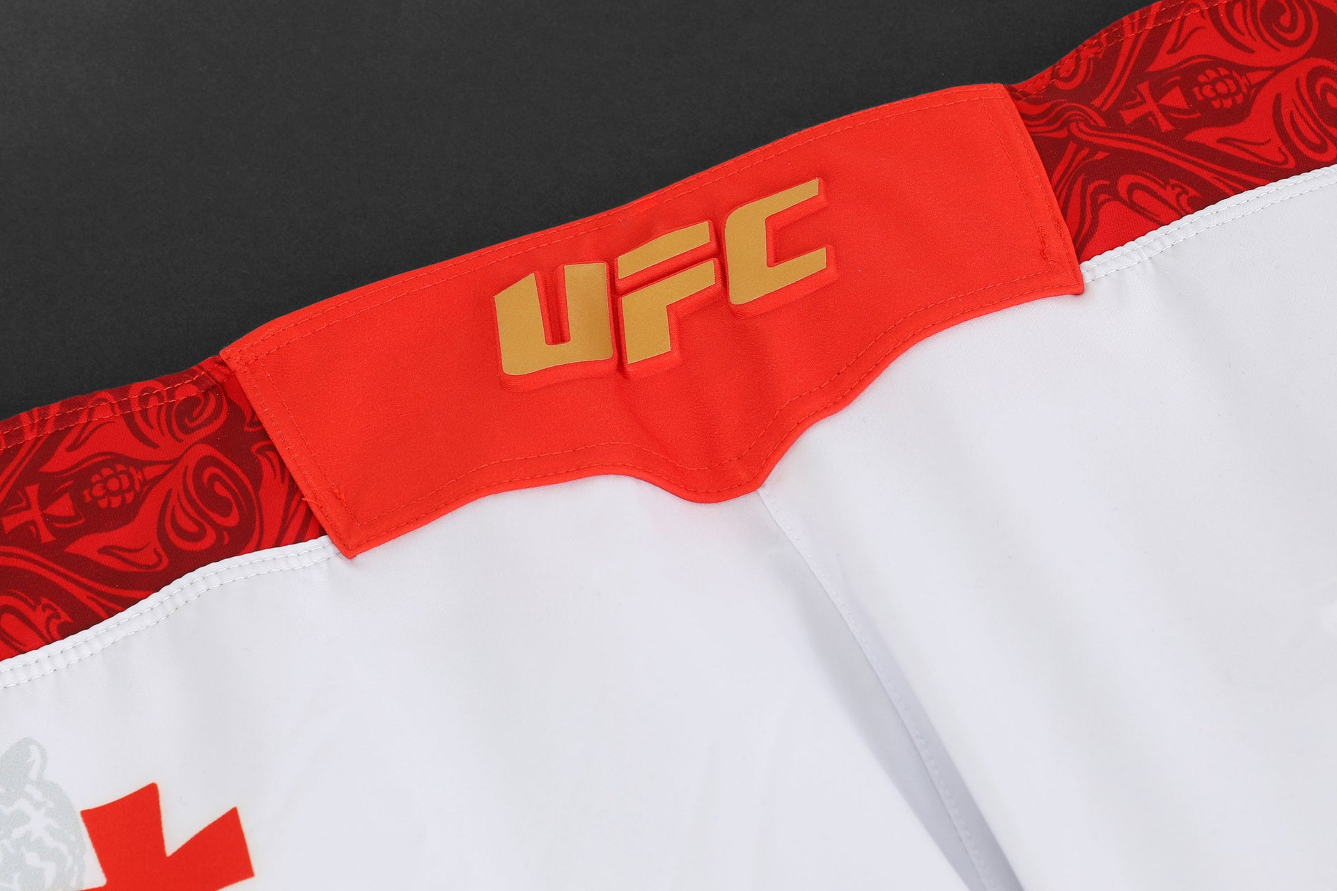 Merab Dvalishvili Limited Edition UFC 316 Venum Shorts & Canvas Display