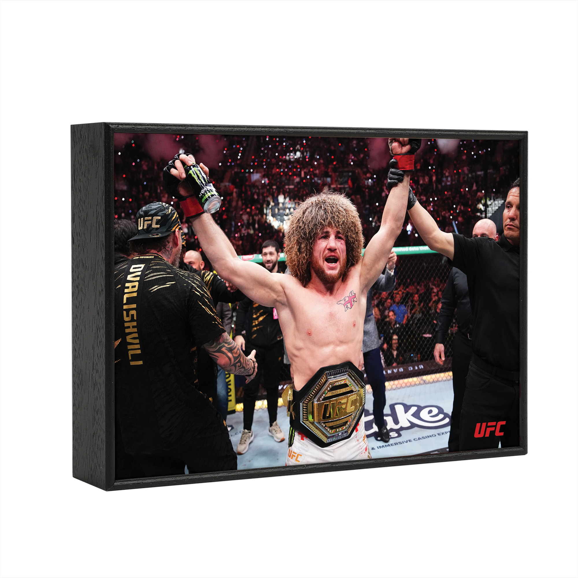 UFC 311: Makhachev vs Moicano - Merab Dvalishvili Framed Print