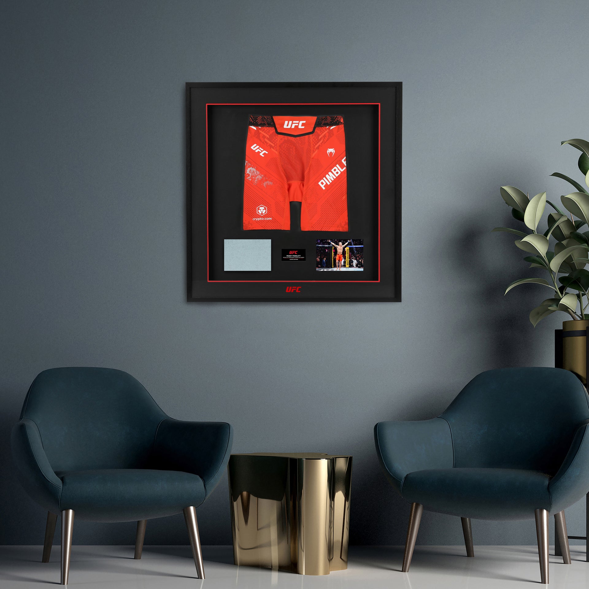 Paddy Pimblett Limited Edition UFC 324 Venum Shorts & Canvas Display