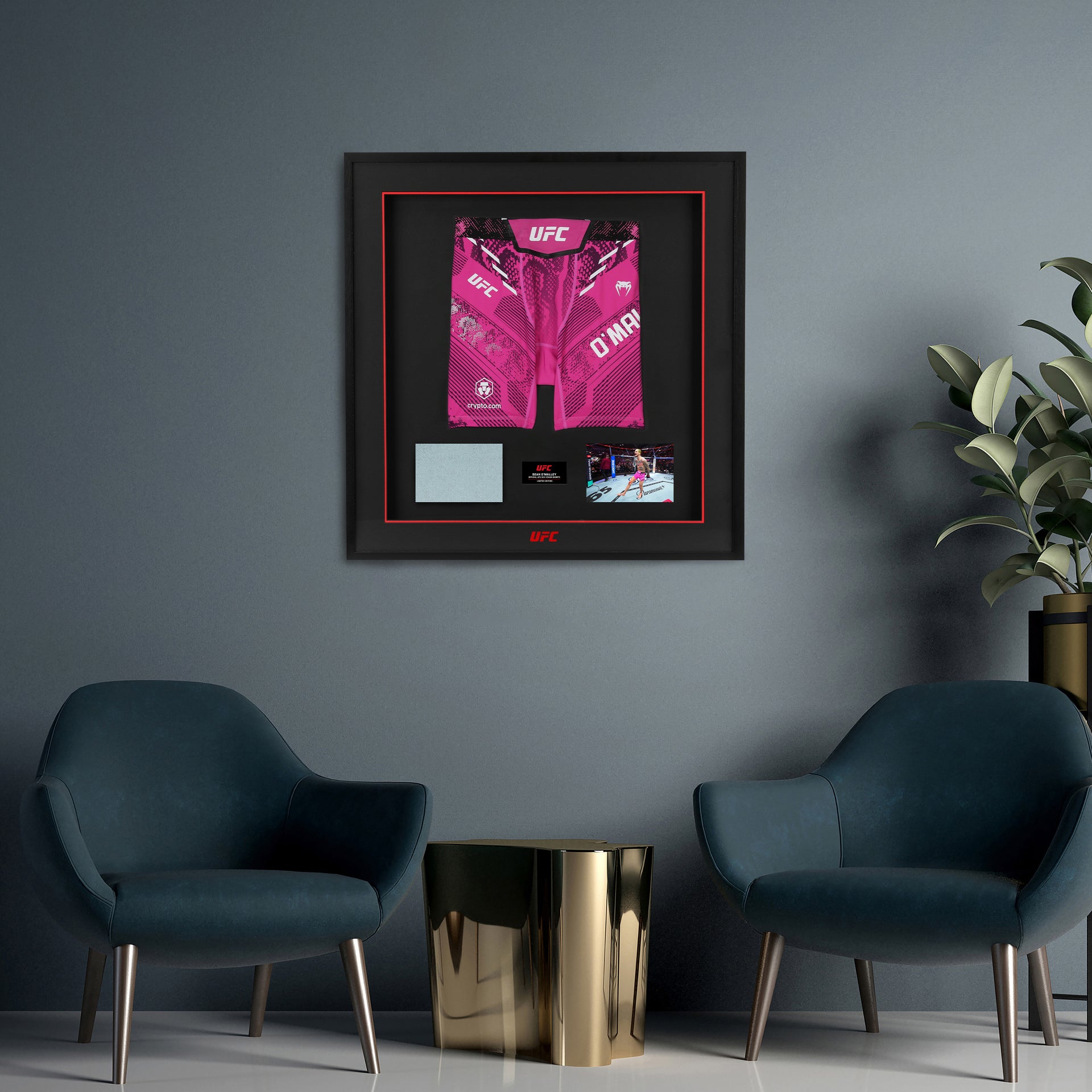 Sean O'Malley Limited Edition UFC 324 Venum Shorts & Canvas Display