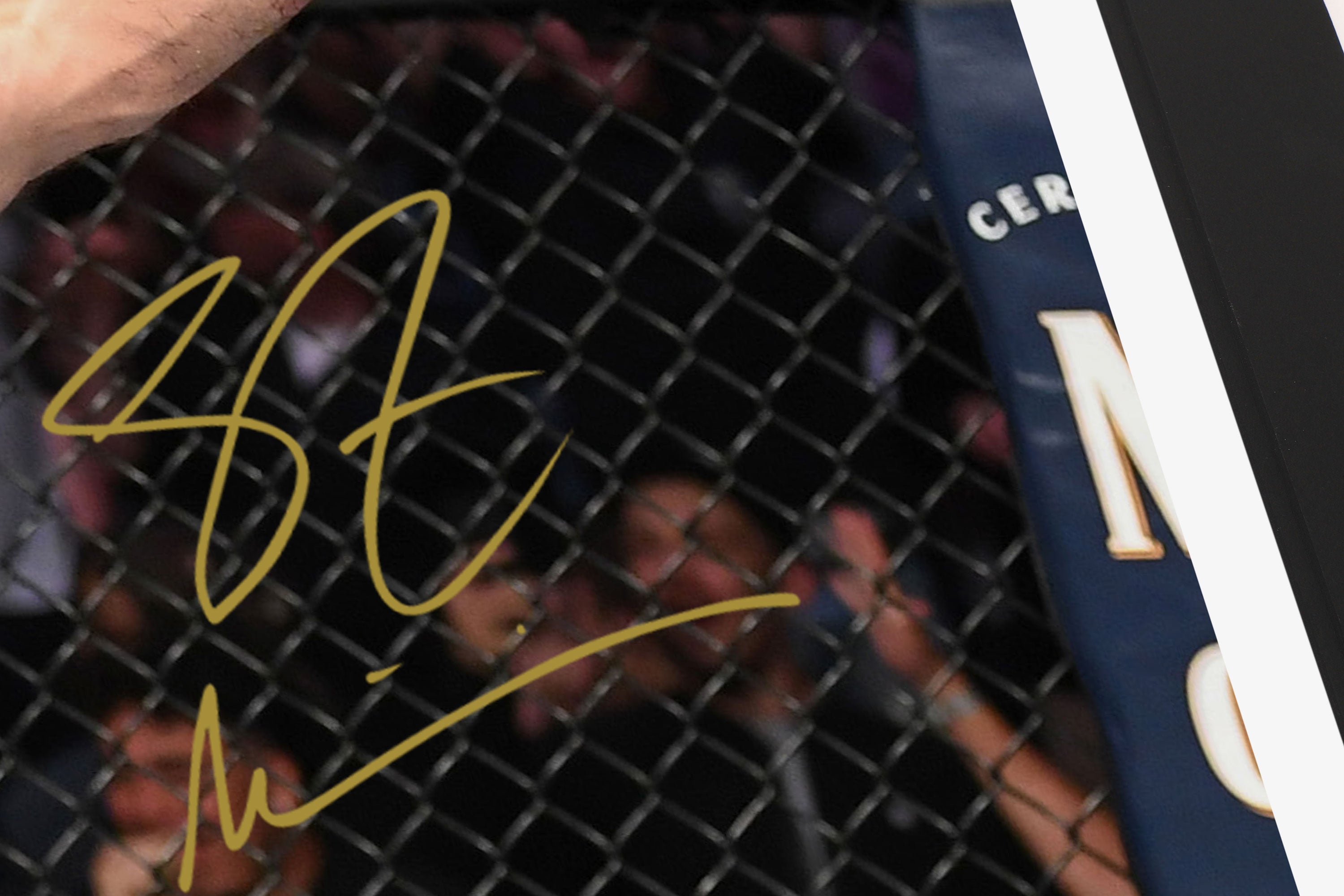 Stipe Miocic Signed Photo UFC 241