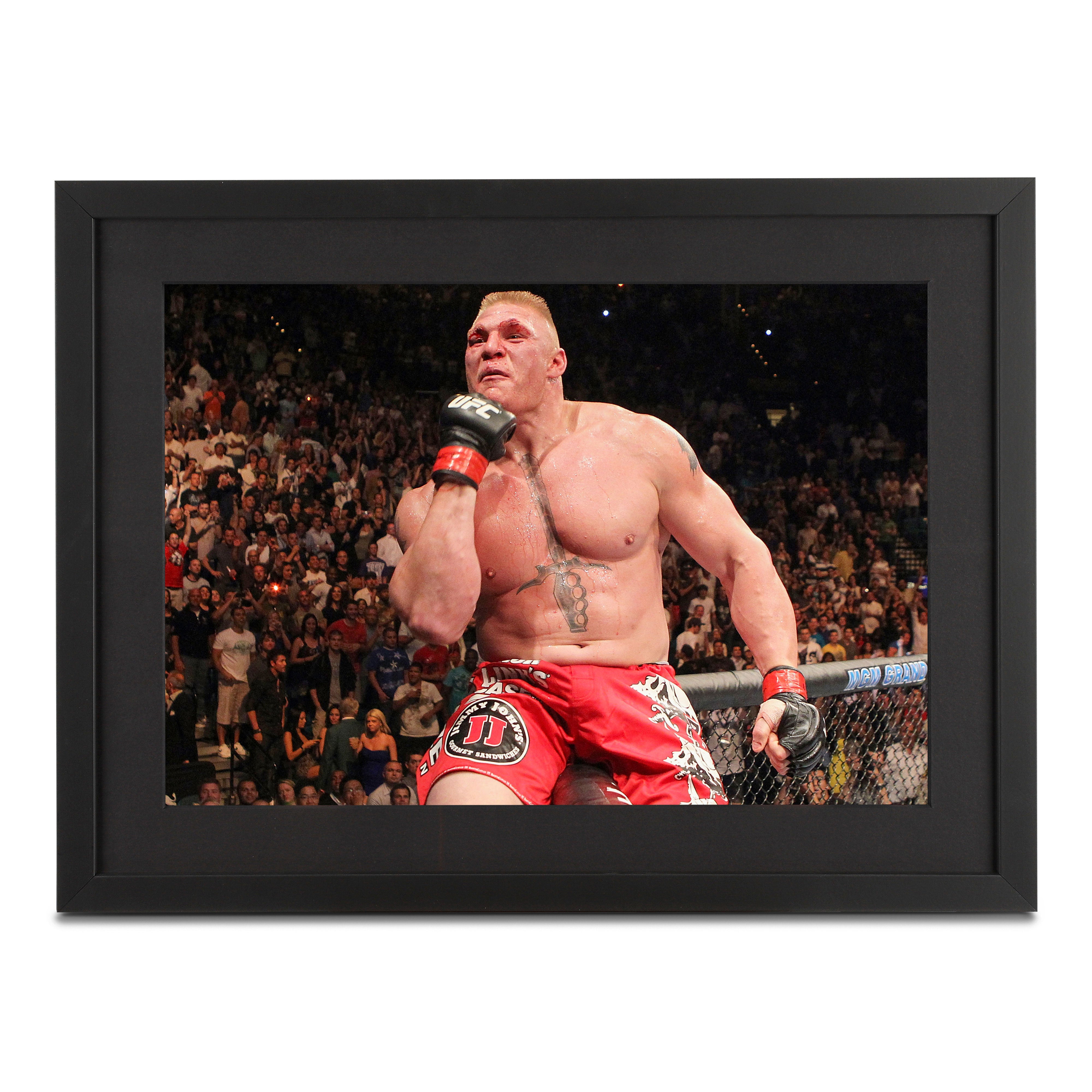 Brock Lesnar Framed Photo UFC 116: Lesnar vs. Carwin