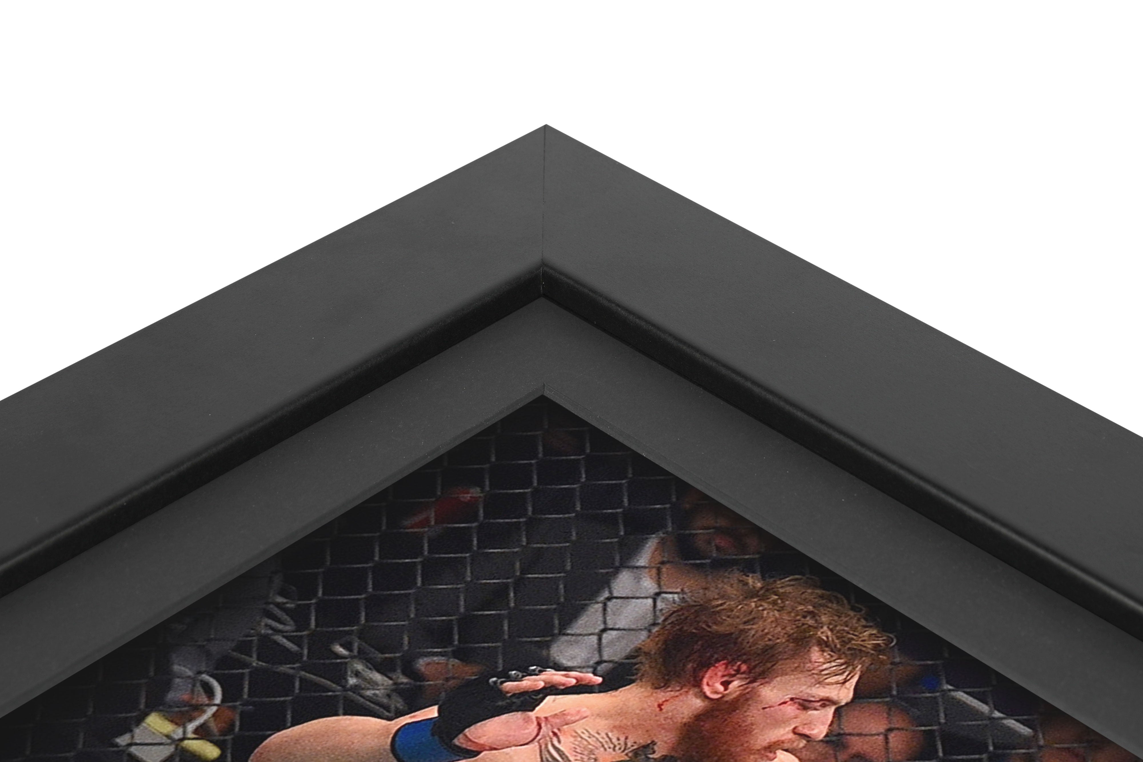 Conor McGregor Limited Edition UFC 189 Canvas & Photo