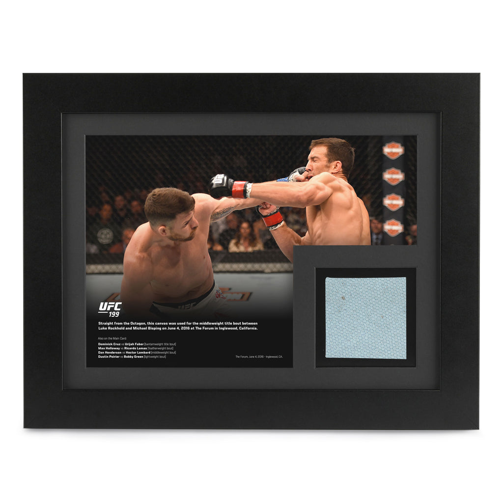 UFC 199: Rockhold vs Bisping 2 Canvas & Photo