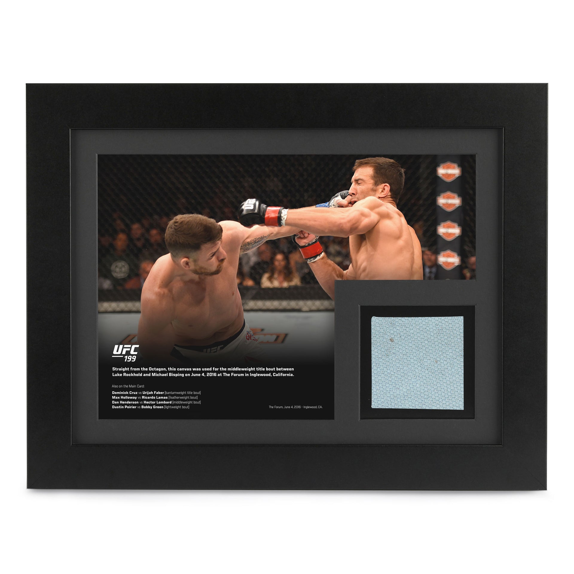 UFC 199: Rockhold vs Bisping 2 Canvas & Photo