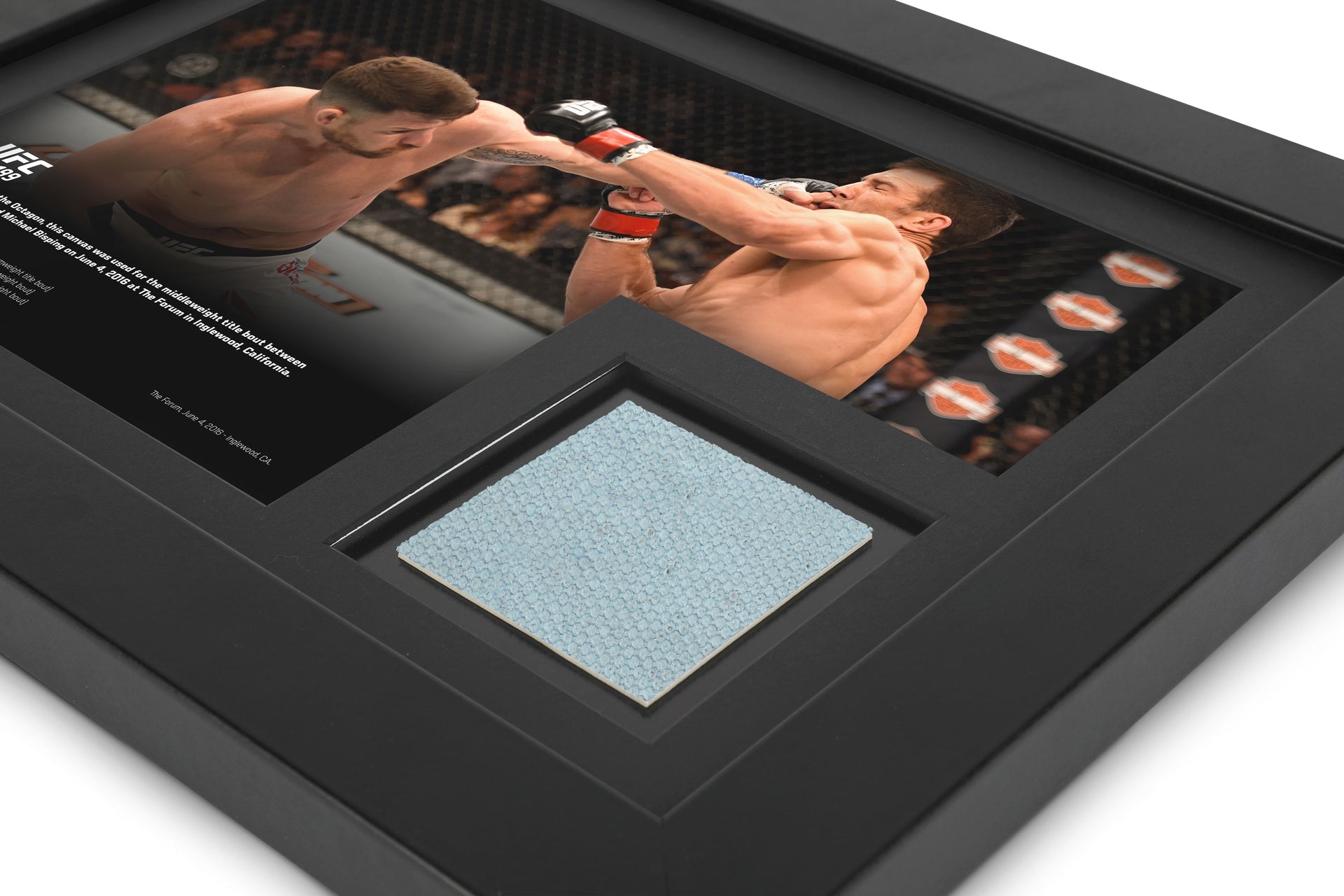 UFC 199: Rockhold vs Bisping 2 Canvas & Photo