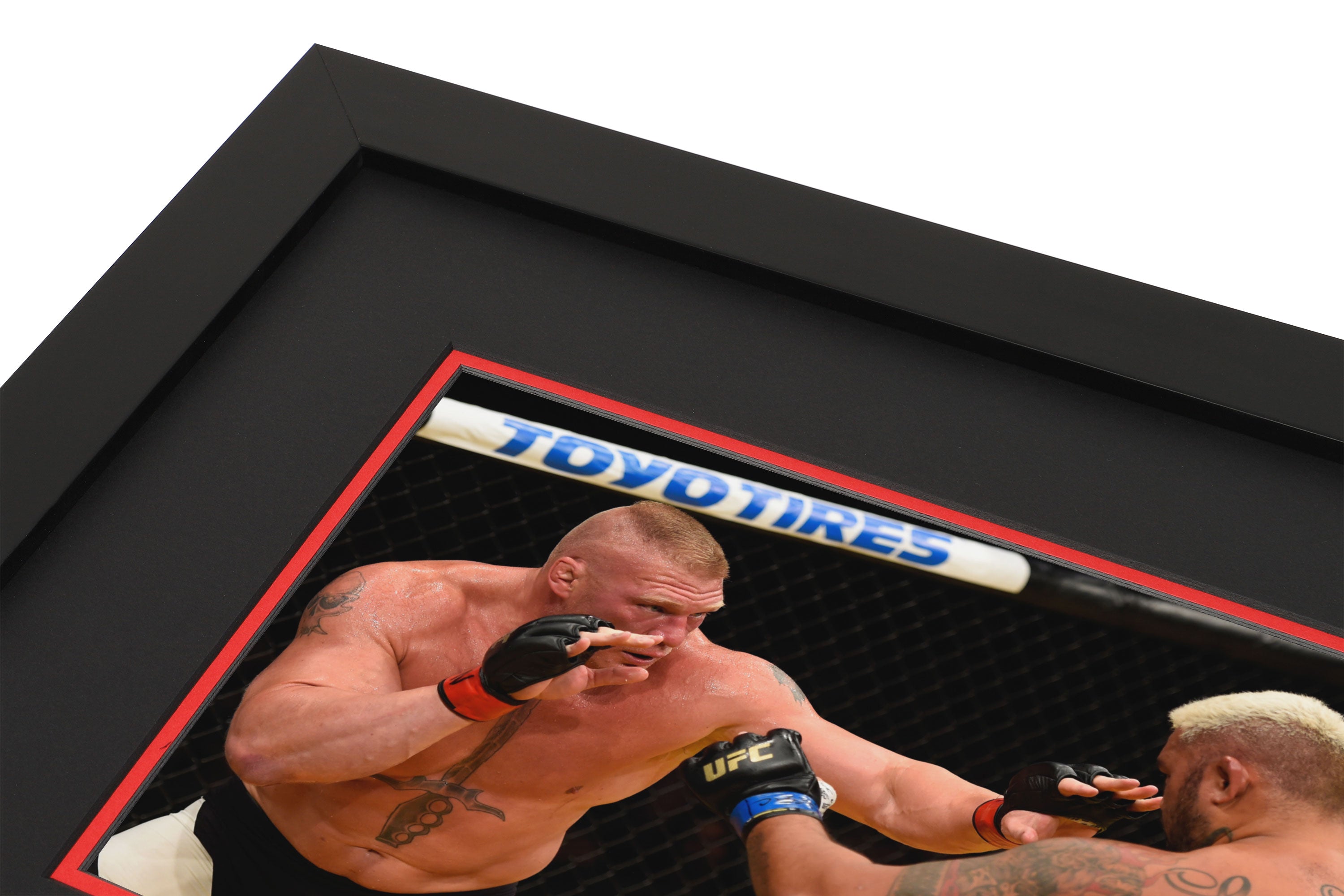 UFC 200: Lesnar vs Hunt Photo & Canvas