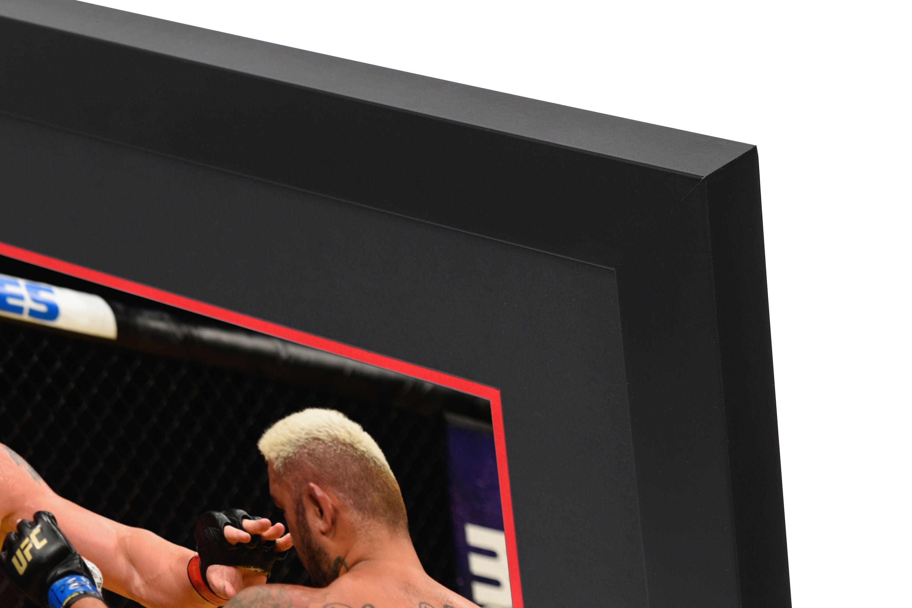UFC 200: Lesnar vs Hunt Photo & Canvas
