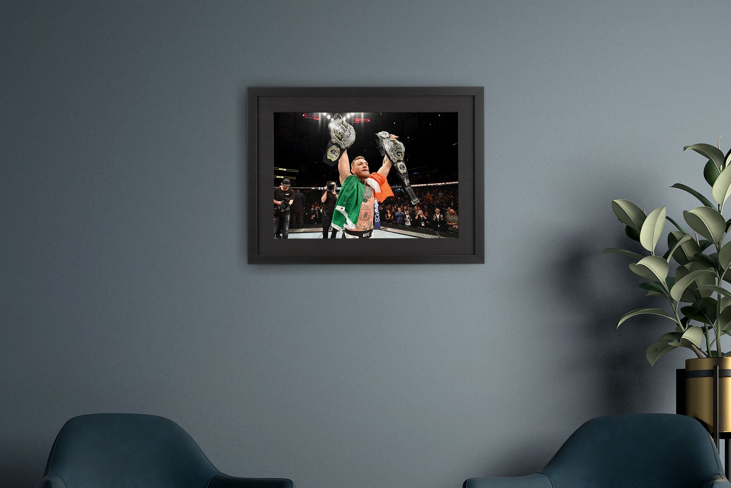 Conor McGregor Framed Photo UFC 205: Alvarez vs. McGregor