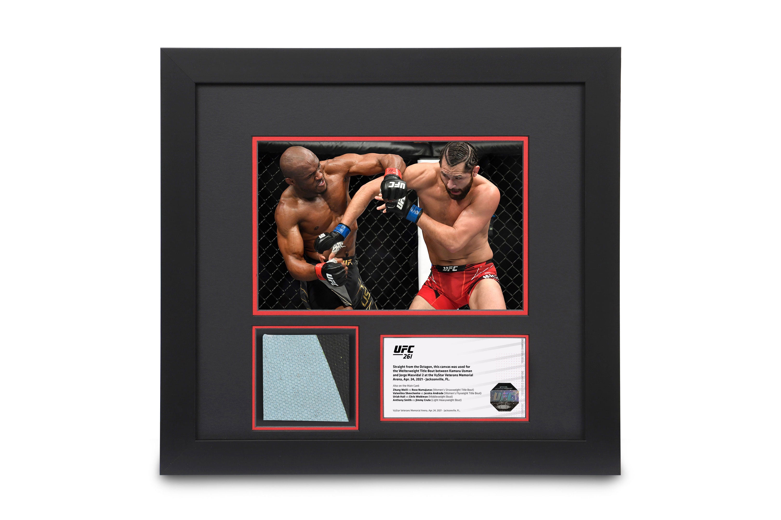 UFC 261: Usman vs Masvidal 2 Canvas & Photo