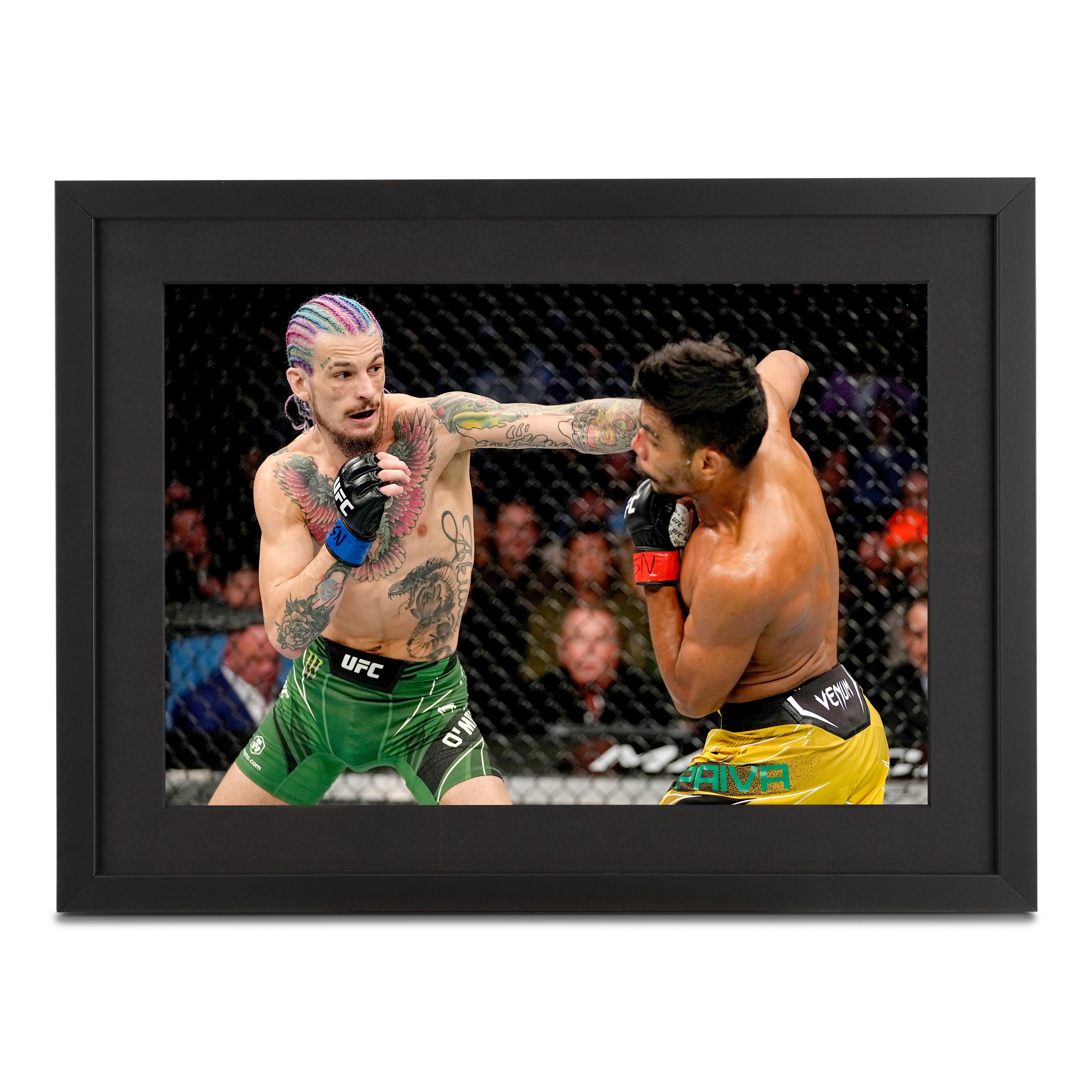 Sean O'Malley Framed Photo UFC 269: Oliveira vs Poirier V1