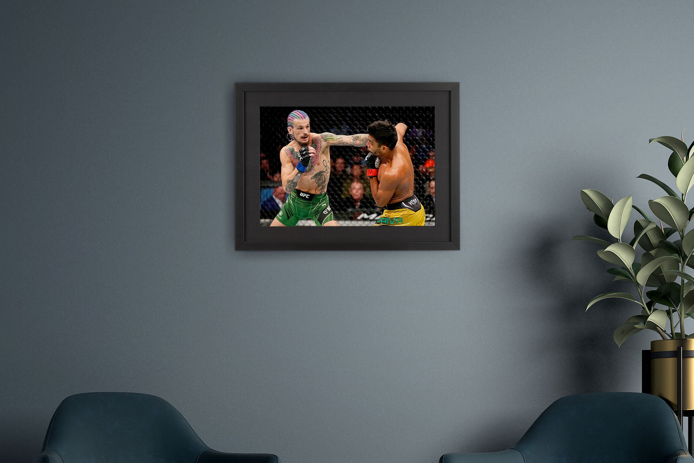 Sean O'Malley Framed Photo UFC 269: Oliveira vs. Poirier V1