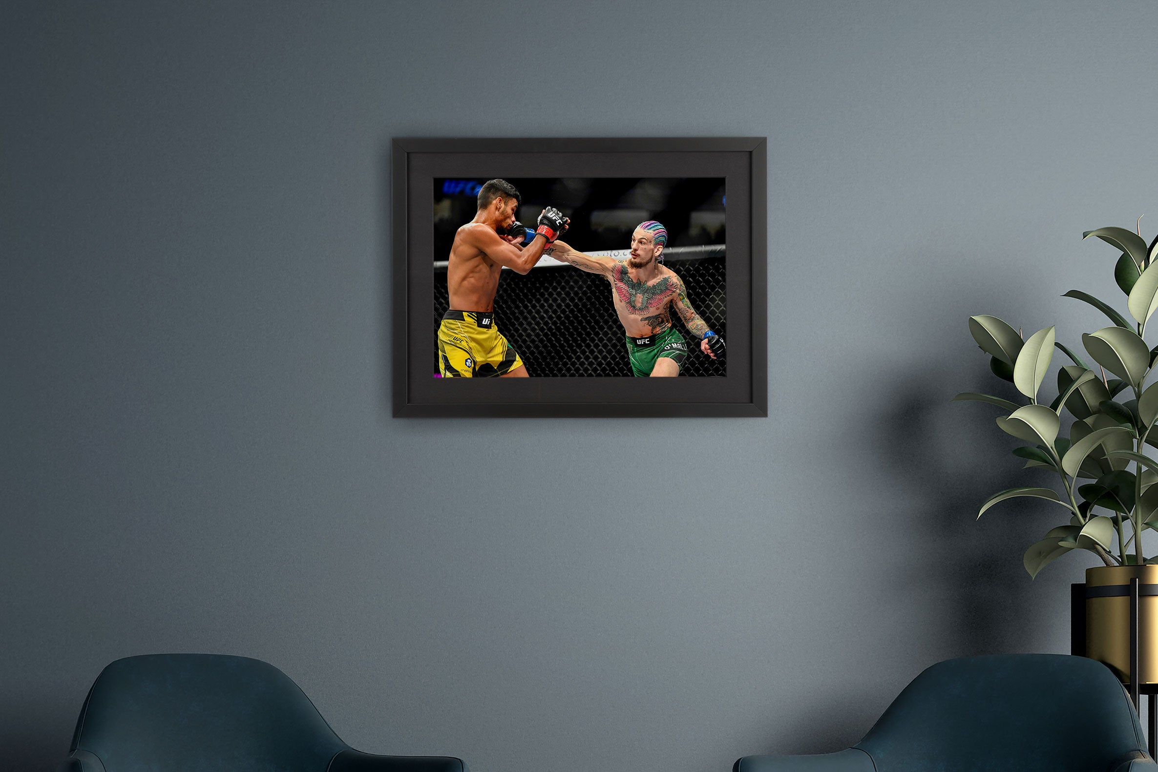 Sean O'Malley Framed Photo UFC 269: Oliveira vs Poirier V2