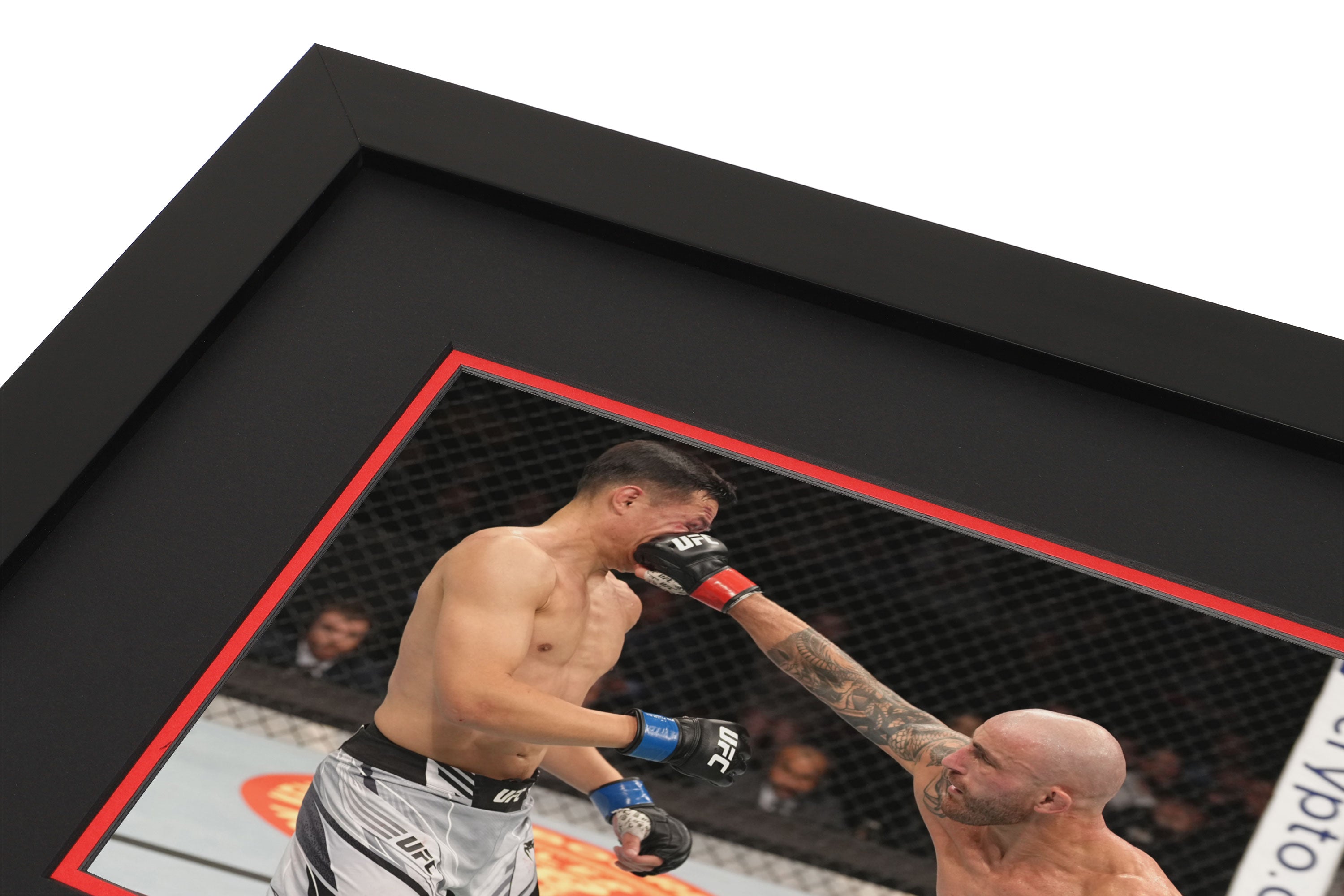UFC 273: Volkanovski vs The Korean Zombie Canvas & Photo