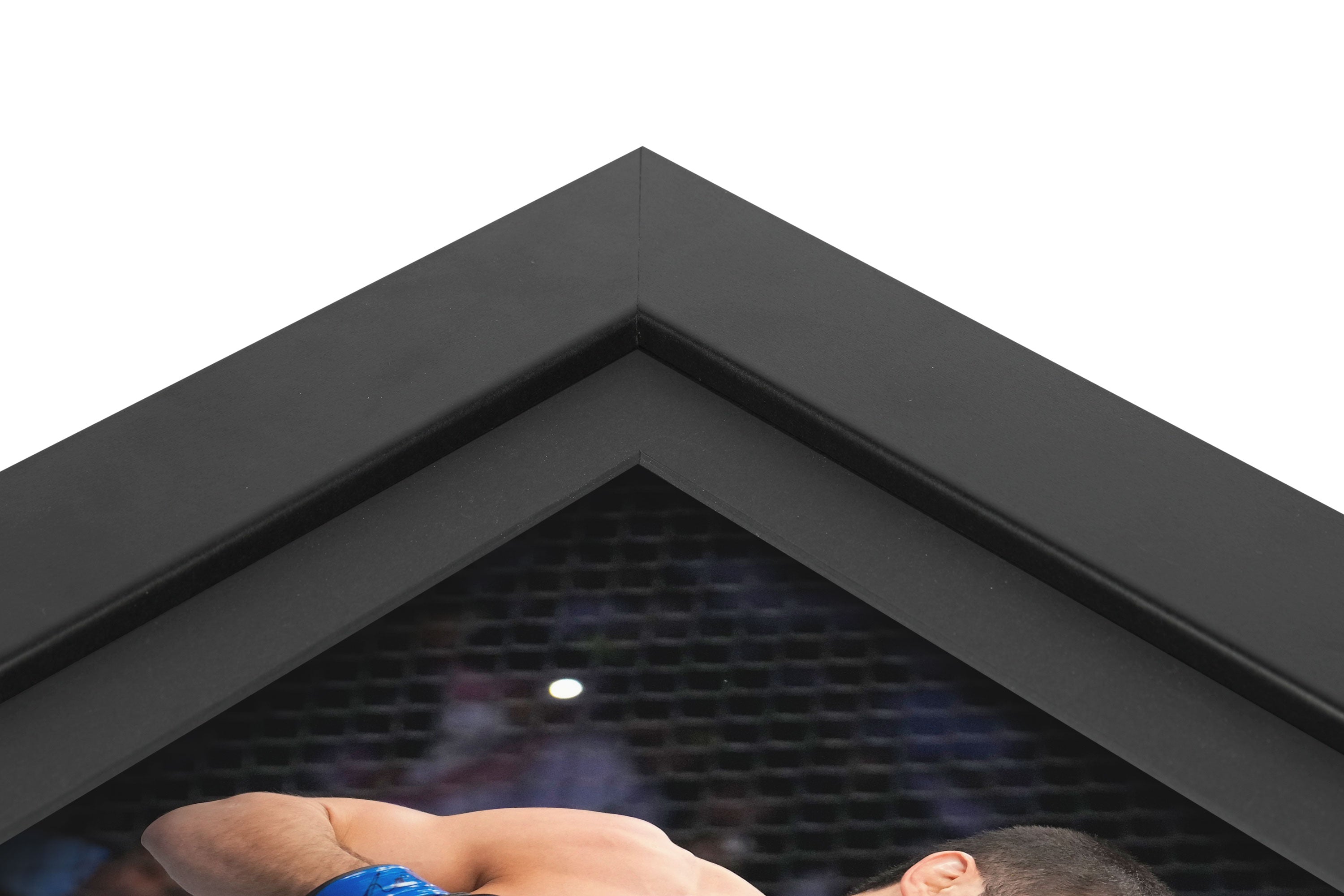 UFC 280: Oliveira vs Makhachev Canvas & Photo