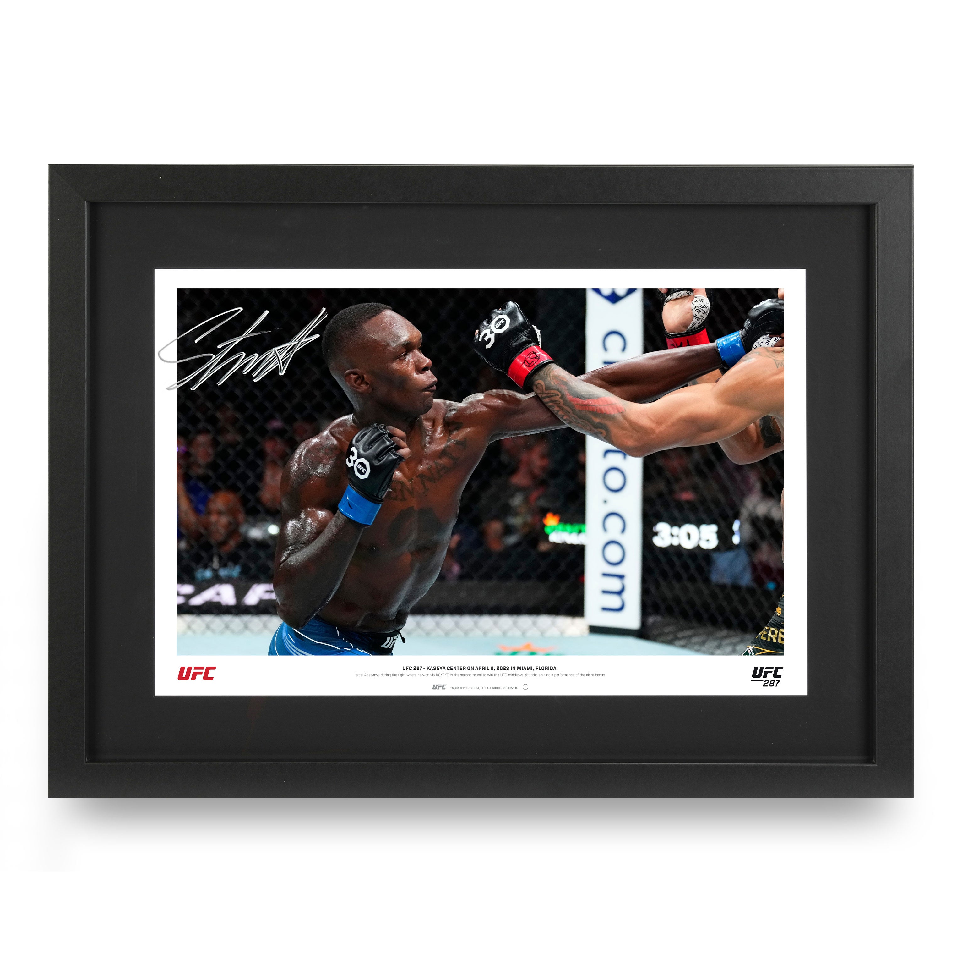 【UFCファイター【直筆サイン入り】3ファイターフォトポスター 直筆サイン入りFIGHTERS ART GALLERY 【14