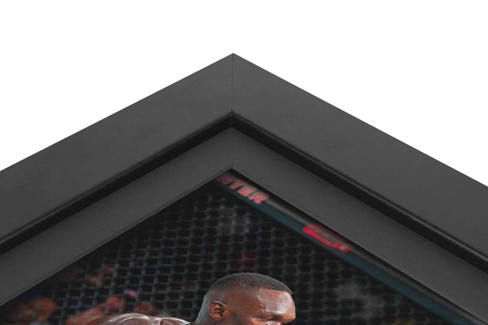 UFC 287: Israel Adesanya vs Alex Pereira 2 Canvas & Photo