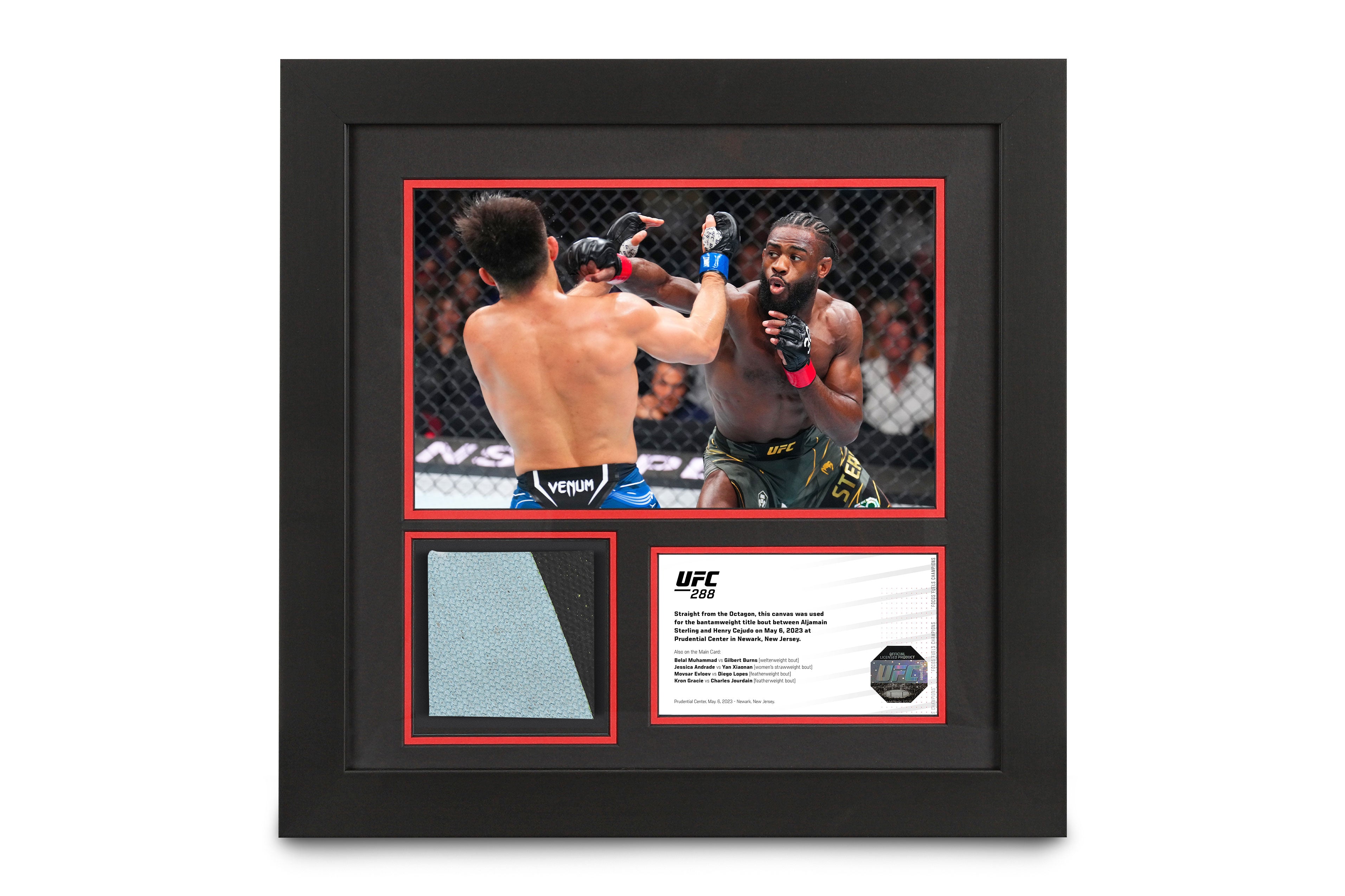 UFC 288: Sterling vs Cejudo Canvas & Photo - Sterling vs Cejudo