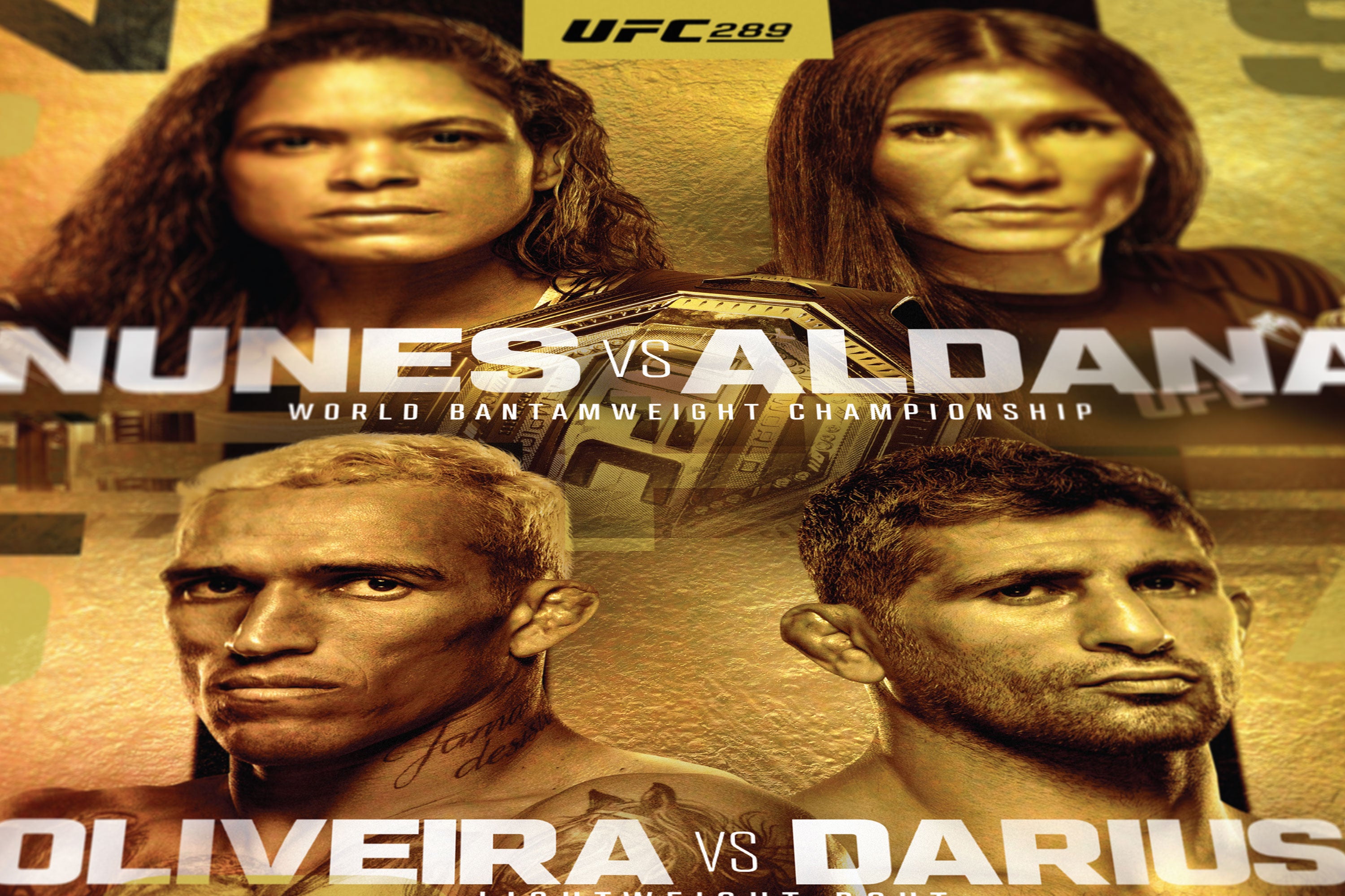 UFC 289: Nunes vs Aldana Autographed Event Poster - Framed