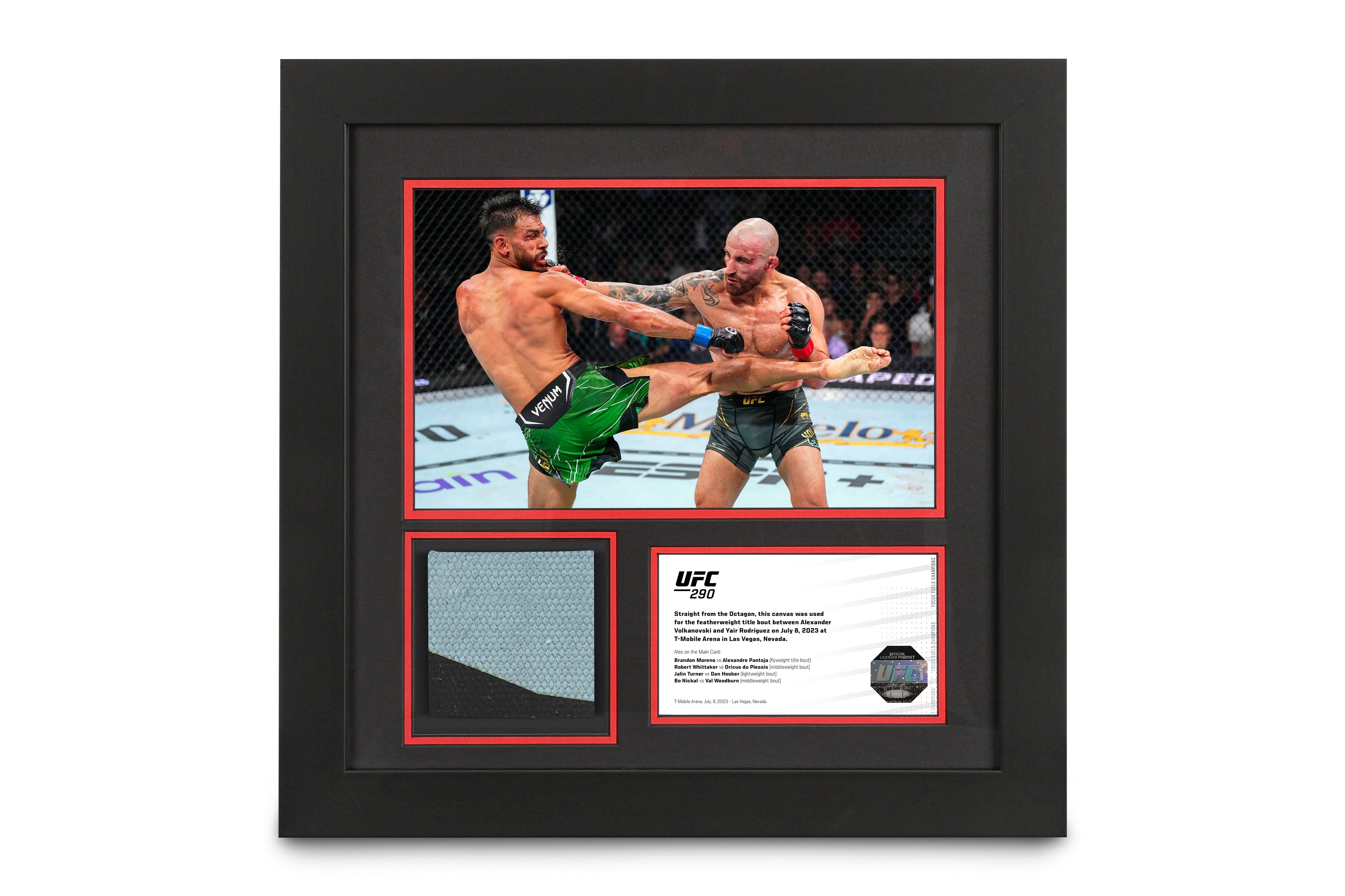 UFC 290: Volkanovski vs Rodriguez Canvas & Photo