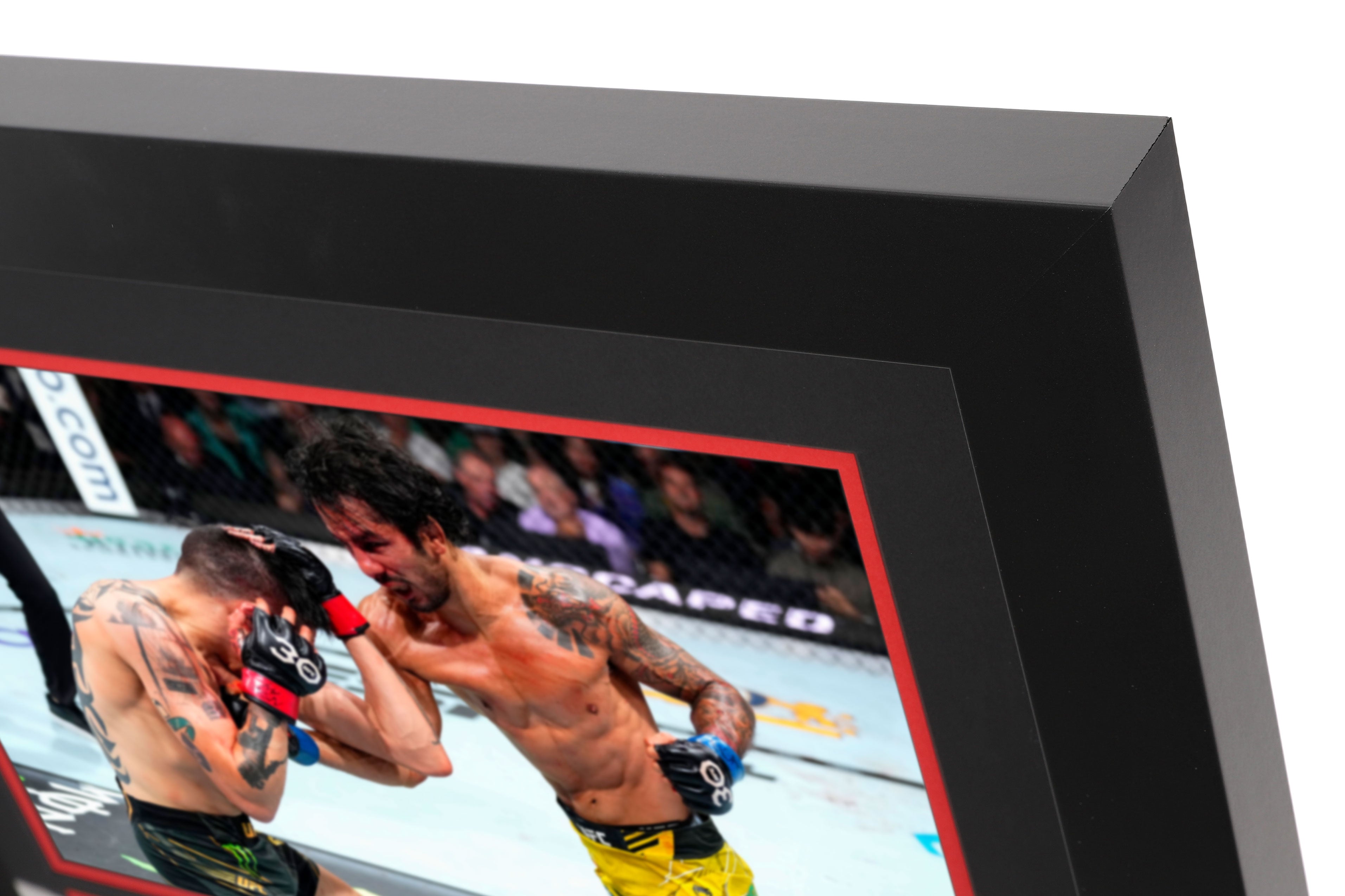 UFC 290: Canvas & Photo Moreno vs Pantoja