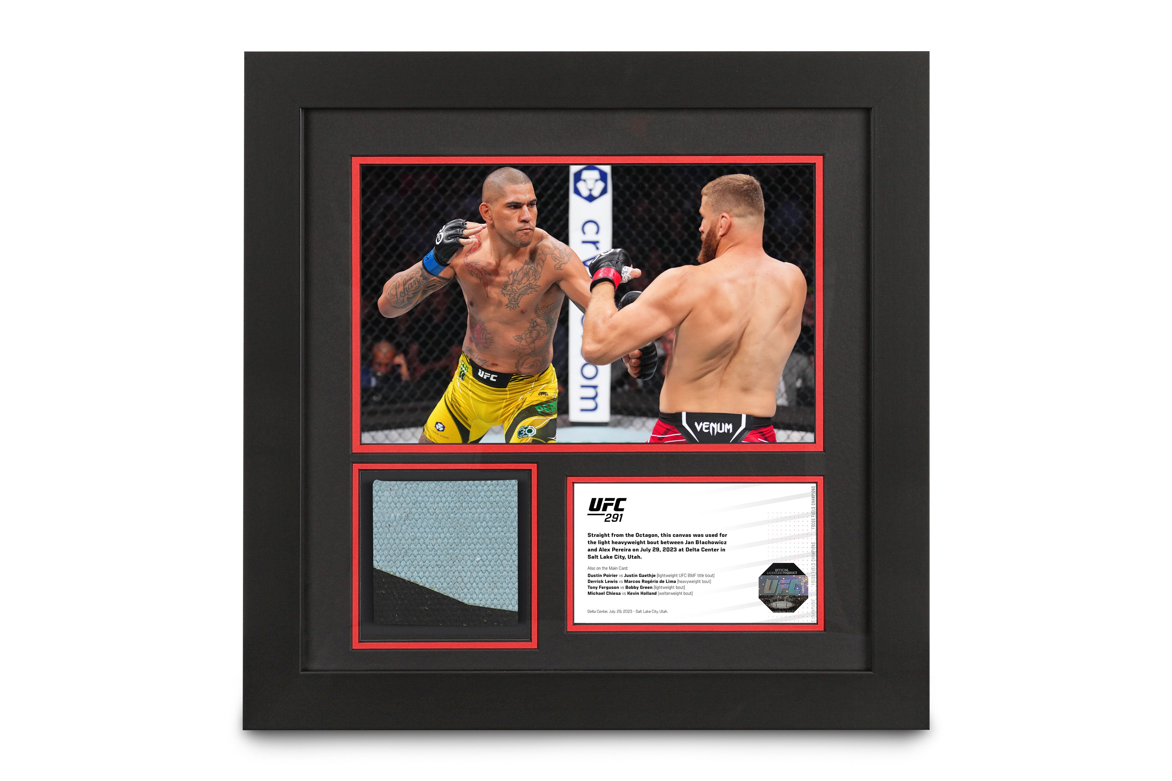 UFC 291: Blachowicz vs Pereira Canvas & Photo