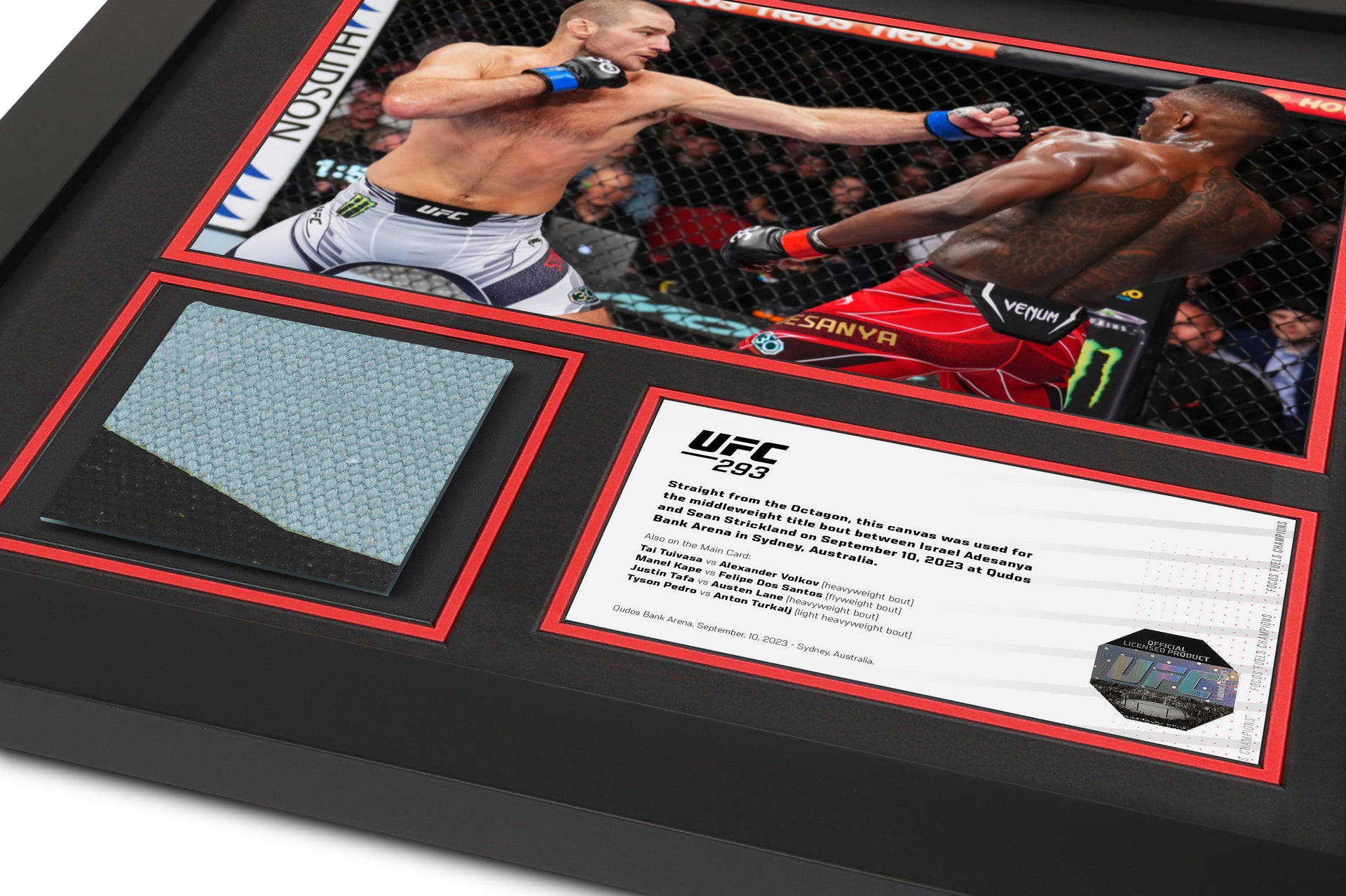 UFC 293: Adesanya vs Strickland Canvas & Photo