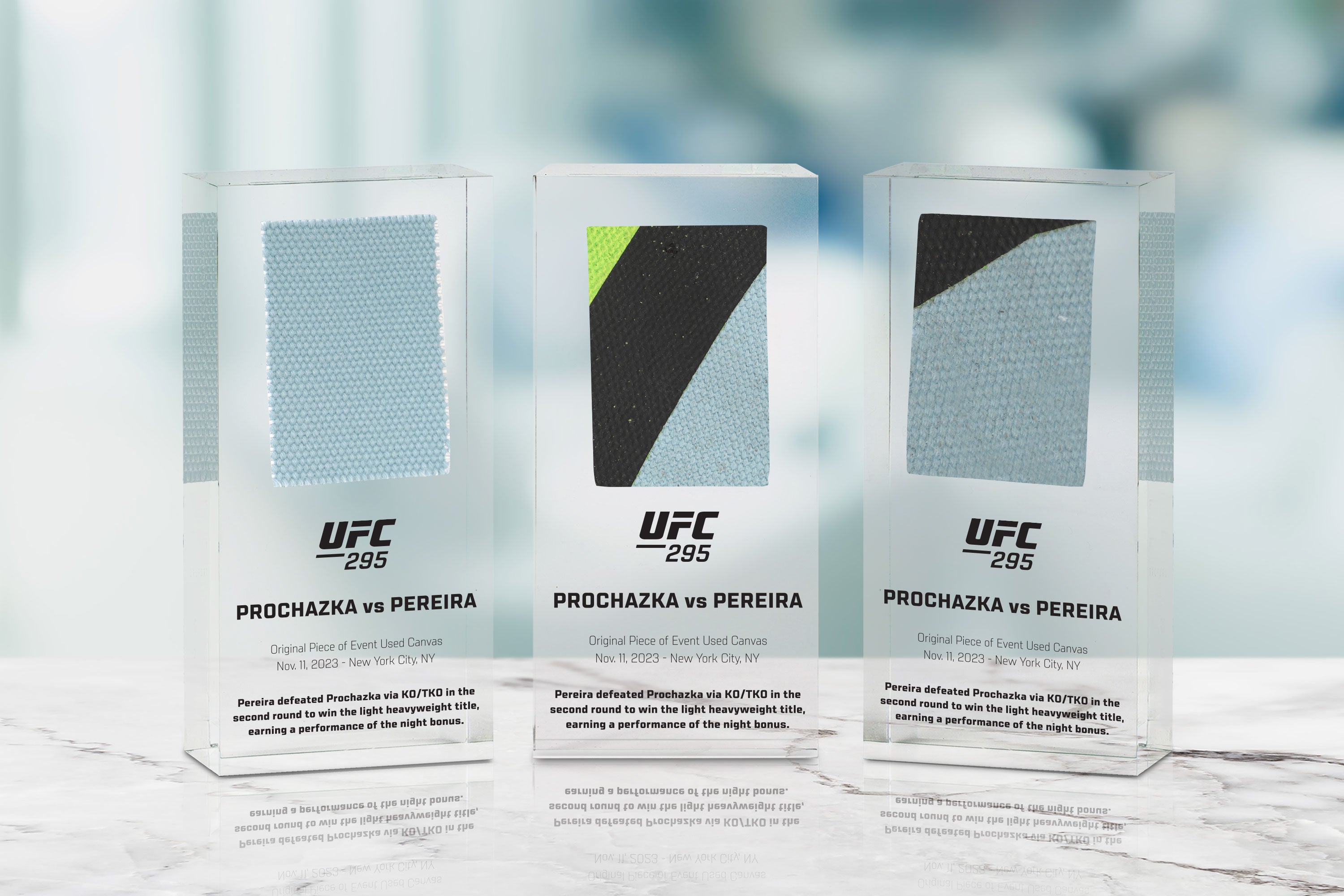 UFC 295: Prochazka vs Pereira Canvas in Acrylic