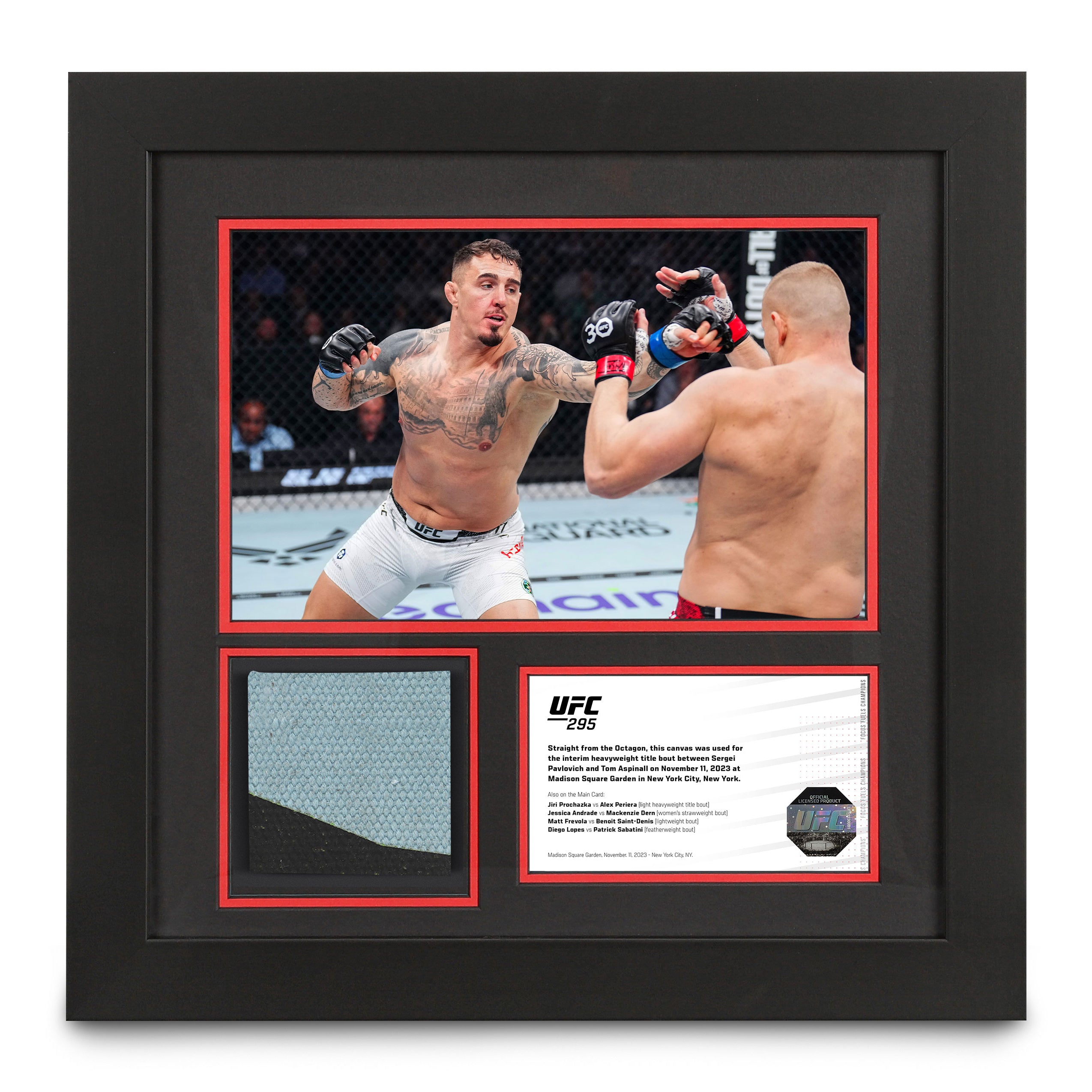 UFC 295: Pavlovich vs Aspinall Event Canvas and Photo