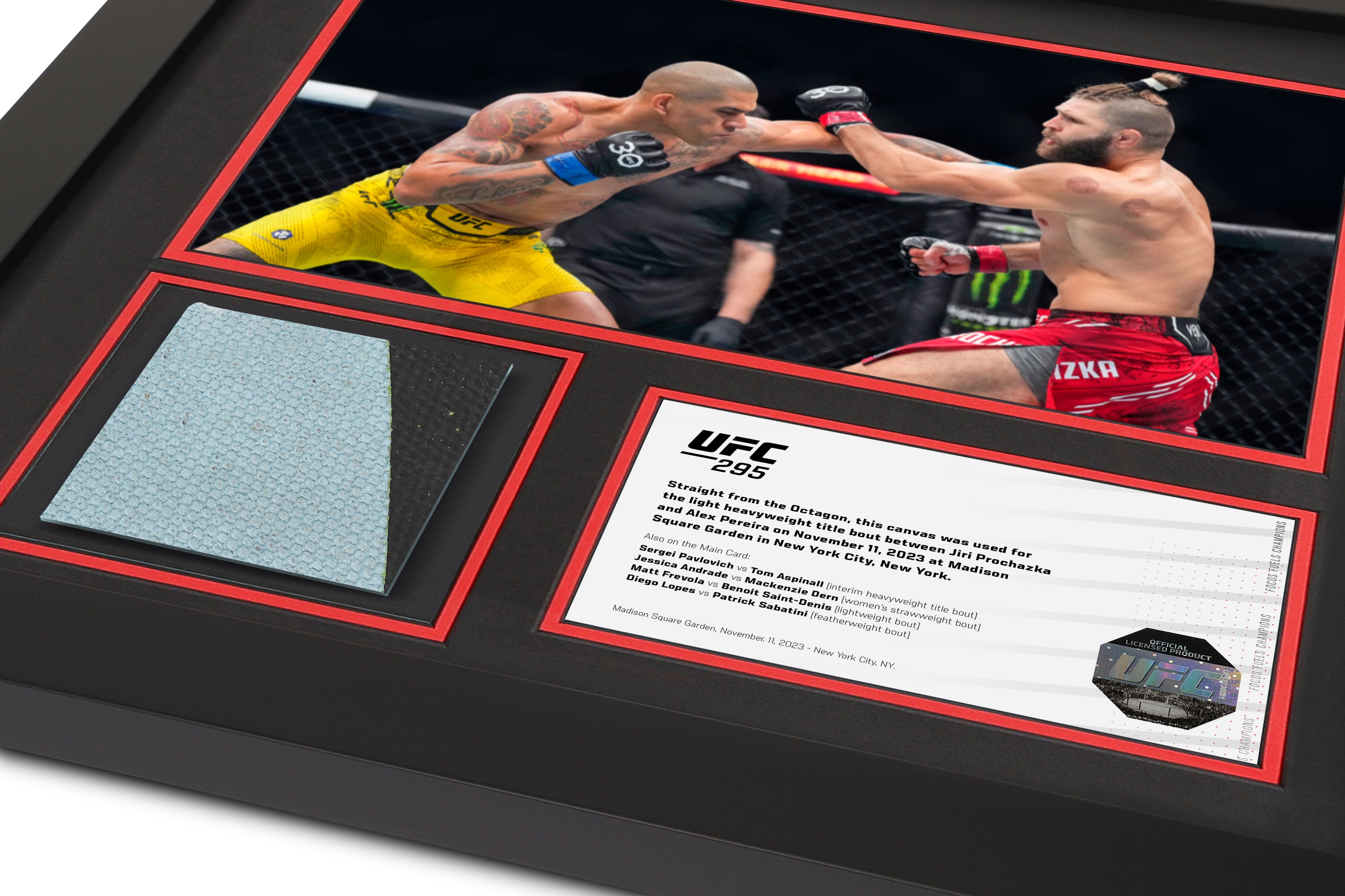 UFC 295: Prochazka vs Pereira Event Canvas and Photo