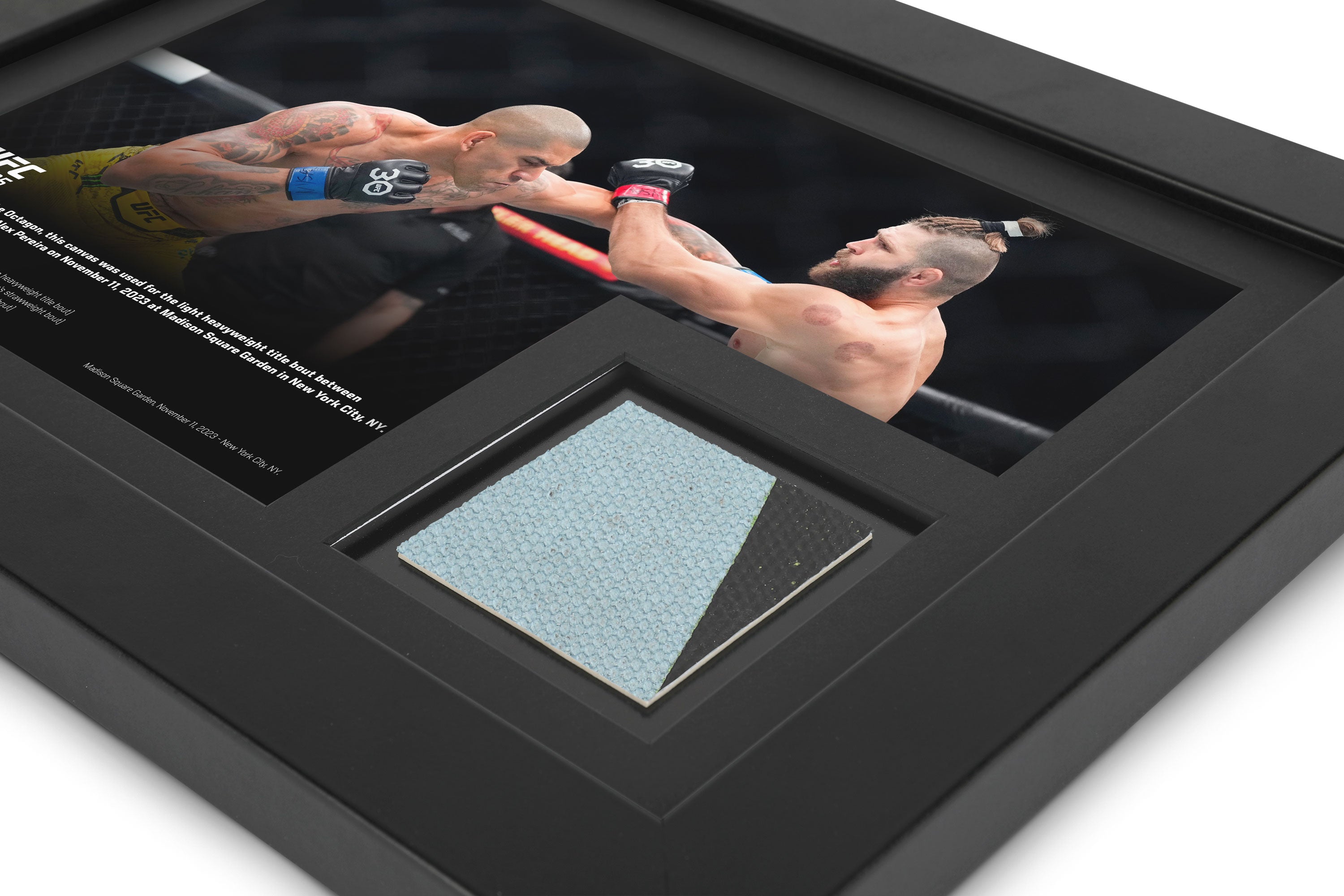 UFC 295: Procházka vs Pereira Canvas & Photo